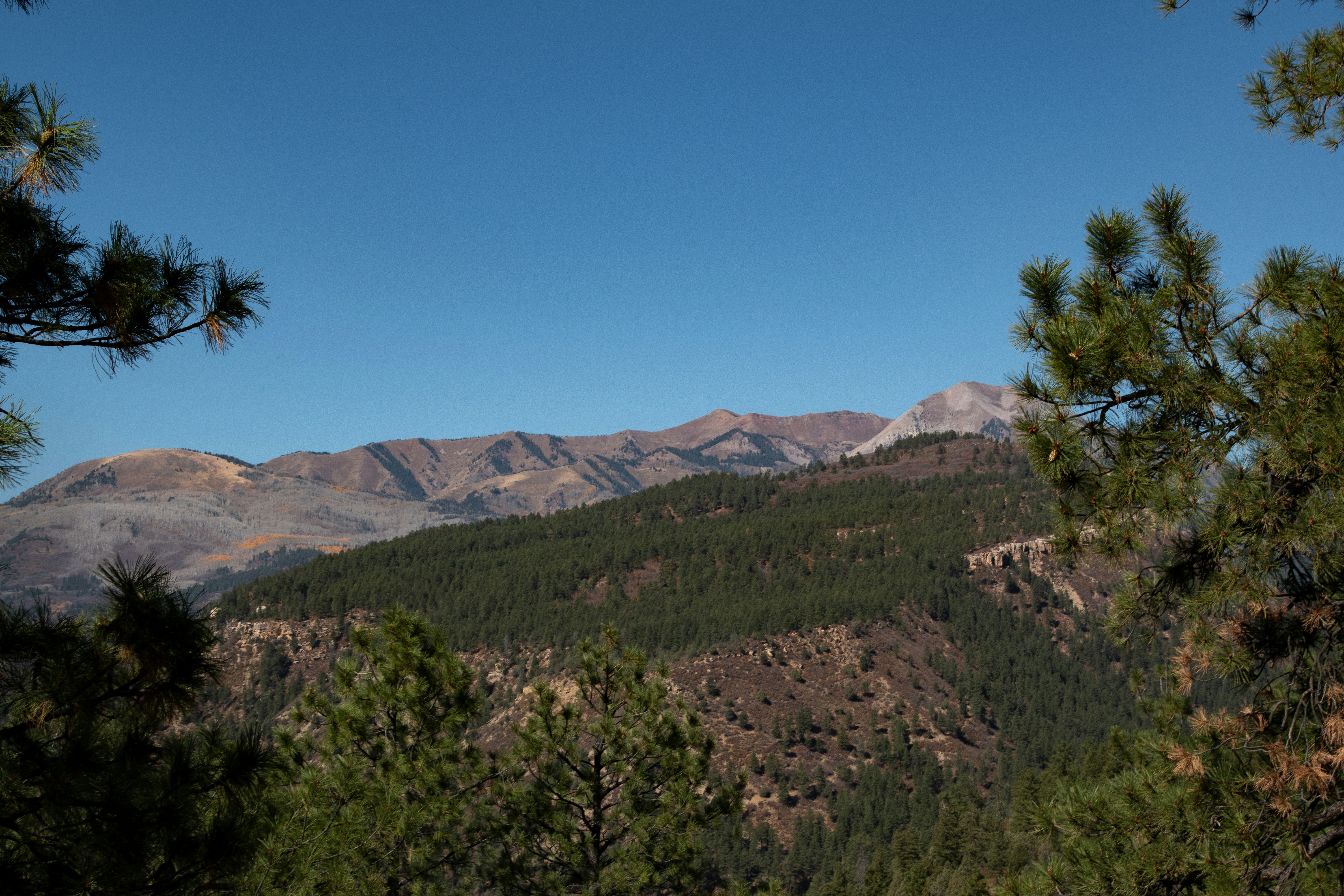 Photo by attaliehart