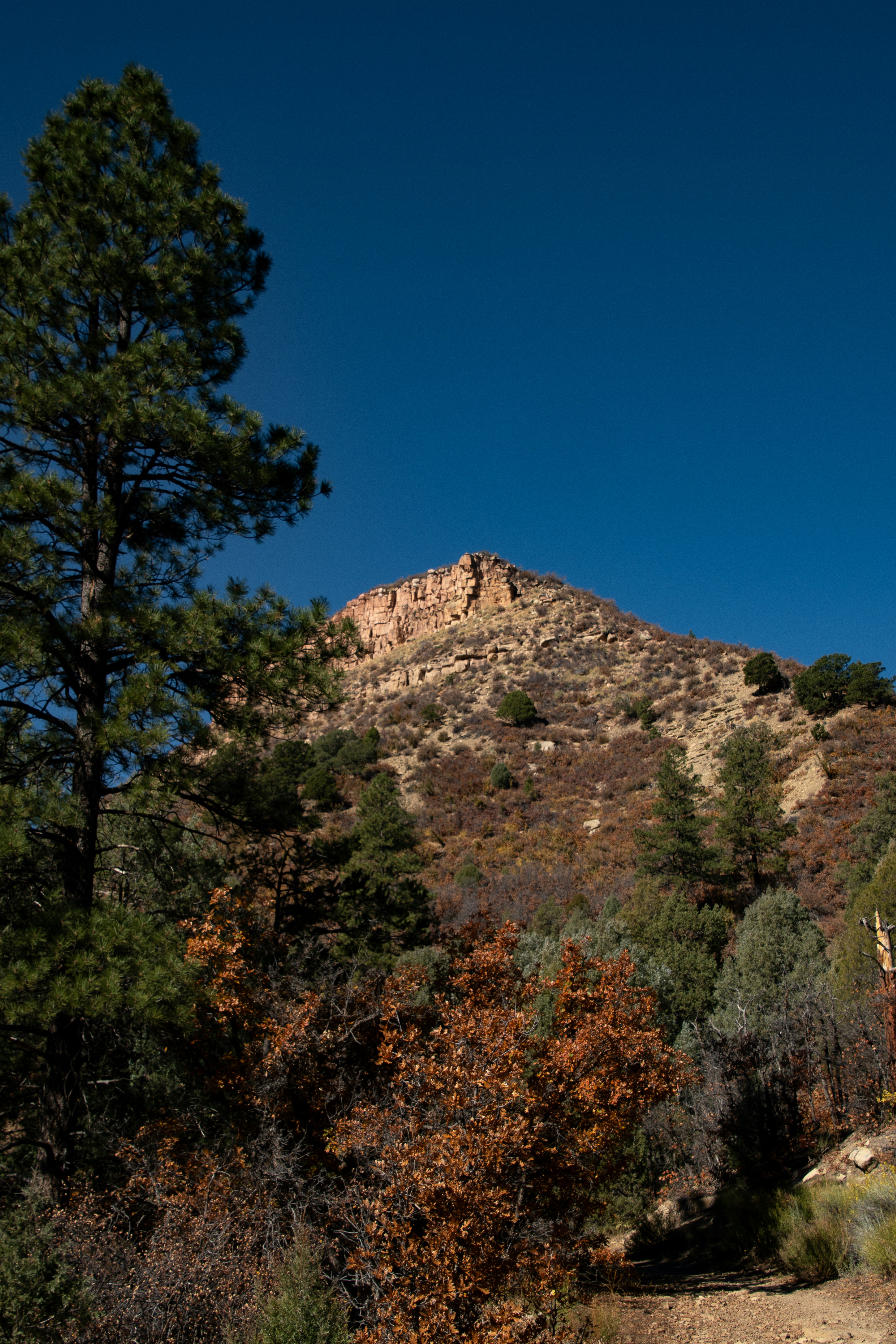 Photo by attaliehart