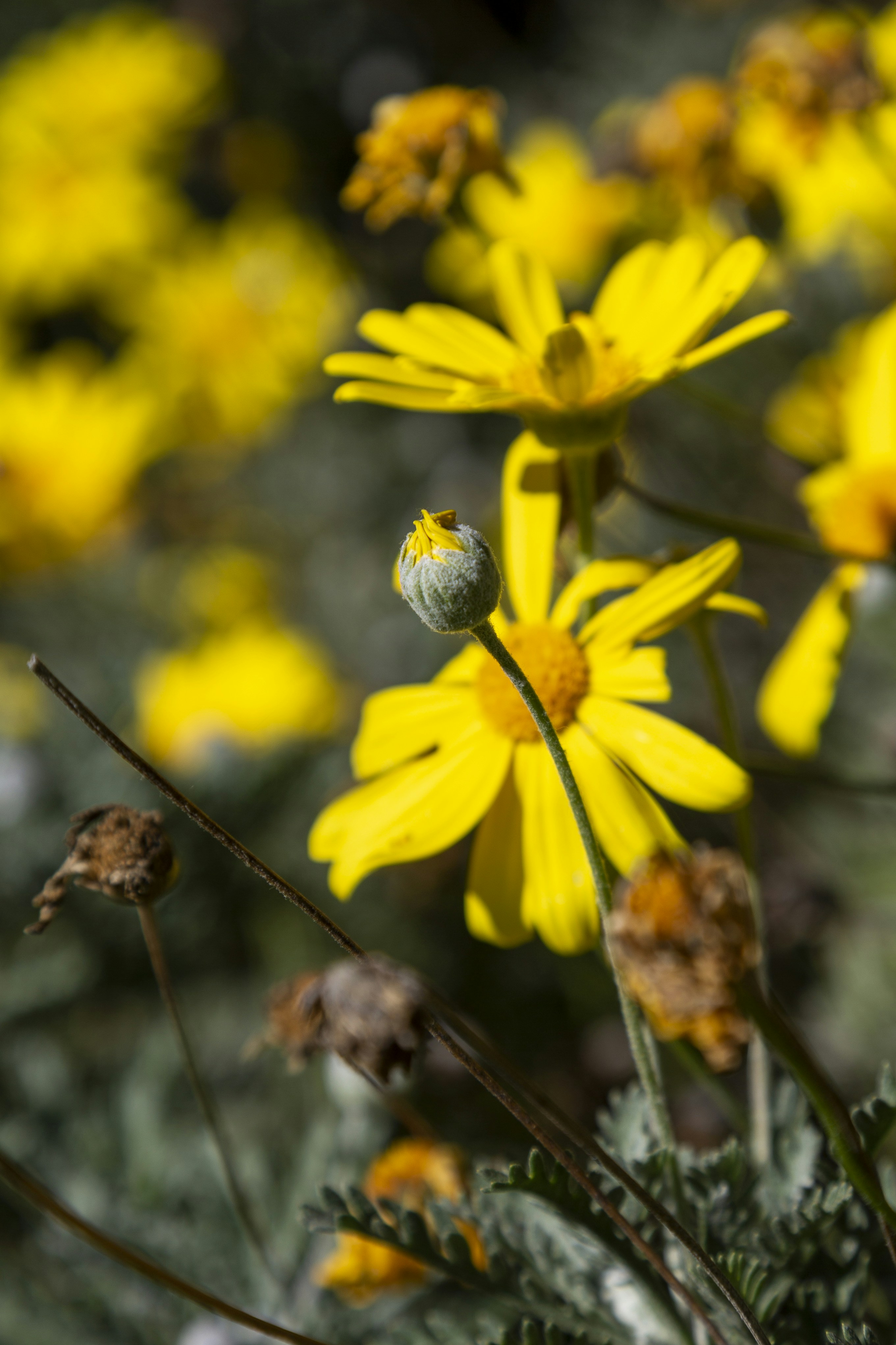 Photo by stephenmabbs