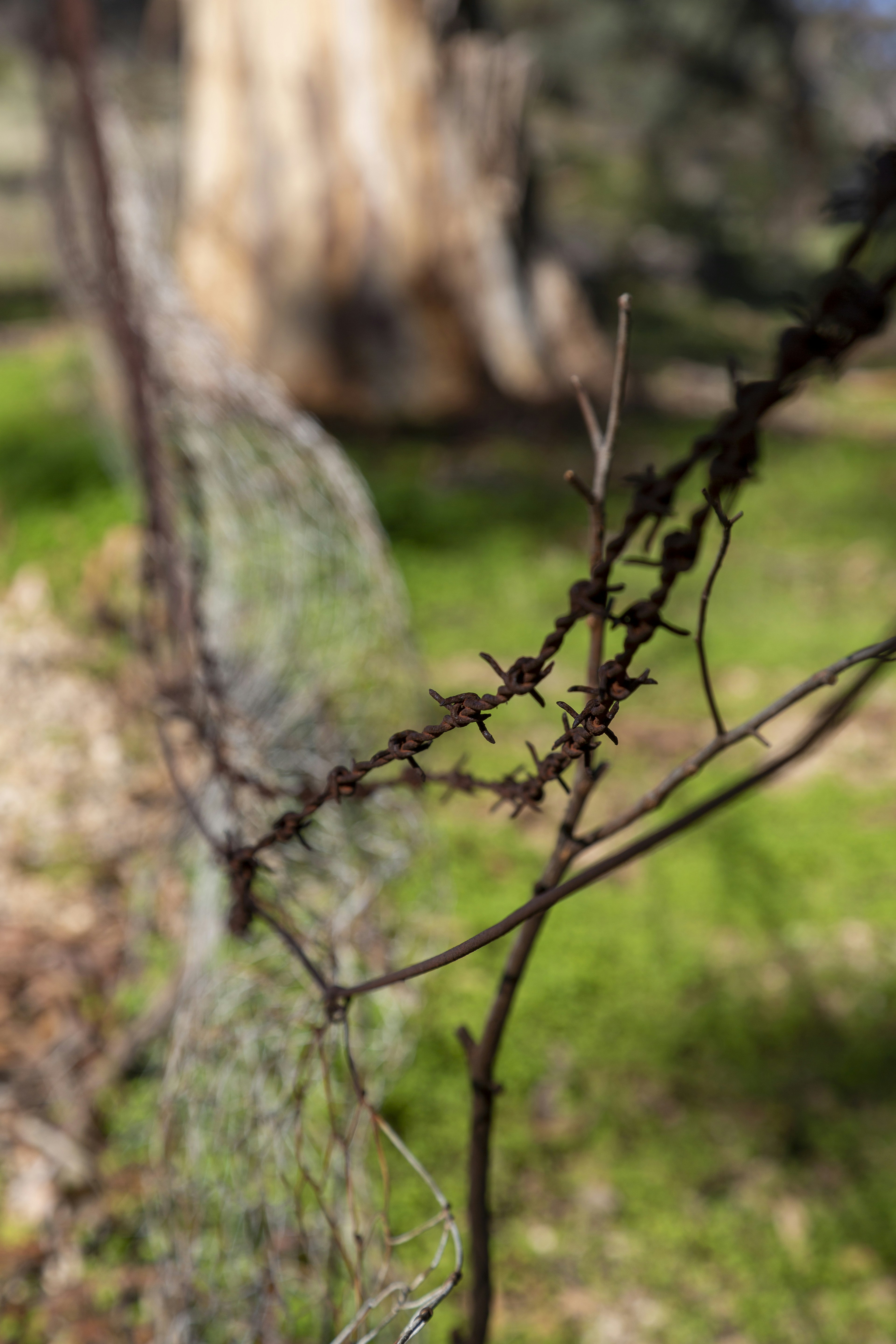 Photo by stephenmabbs