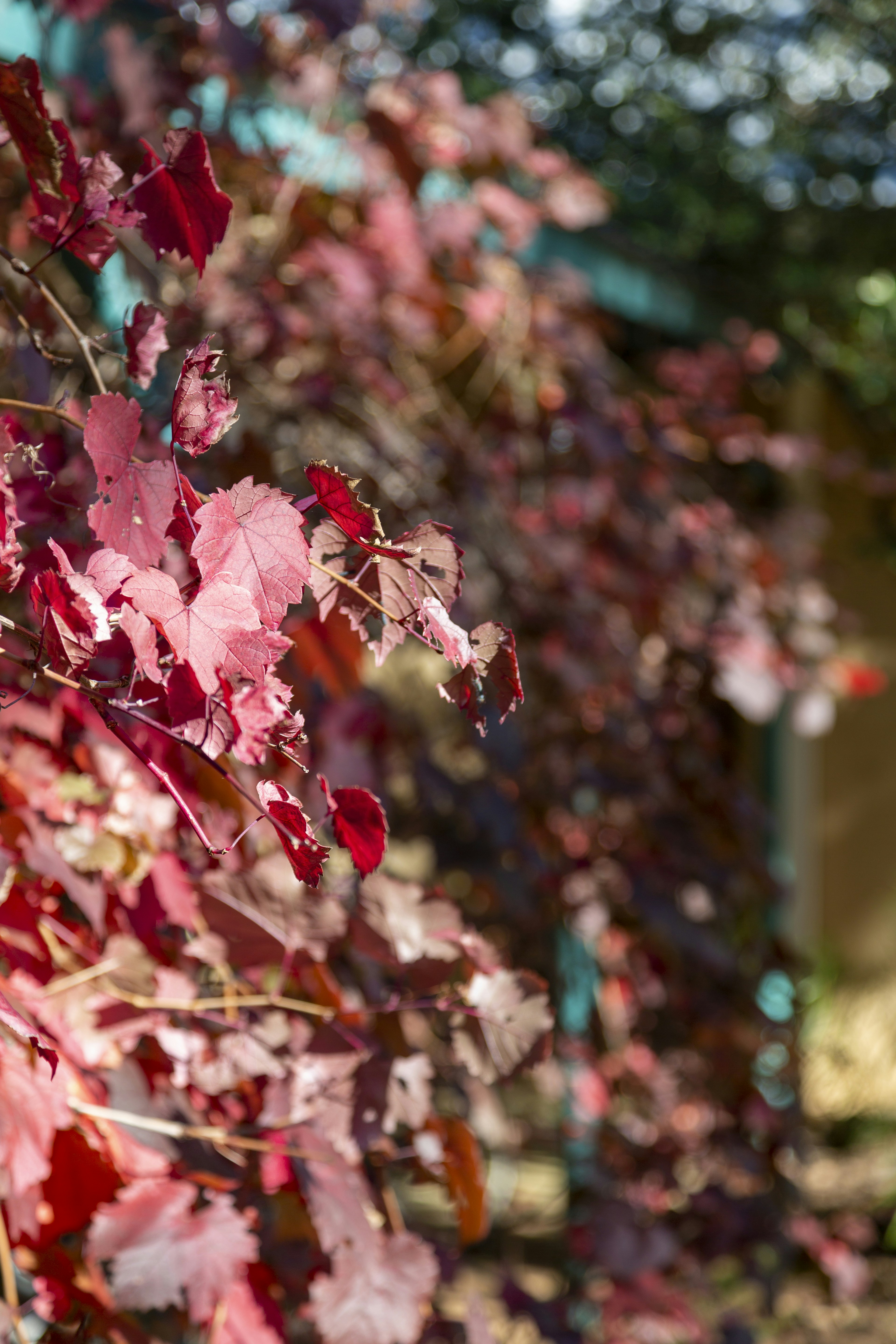 Photo by stephenmabbs