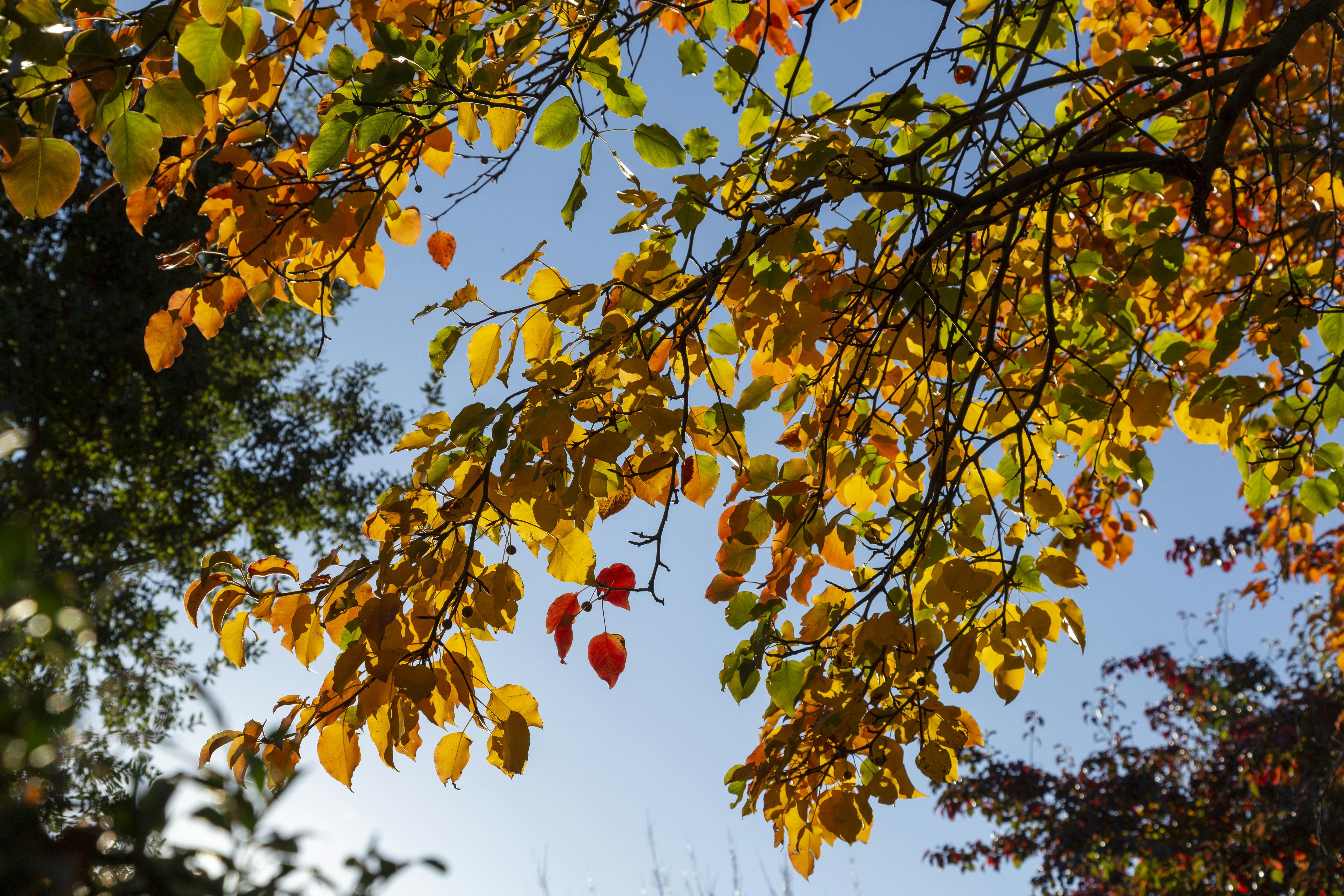 Photo by stephenmabbs