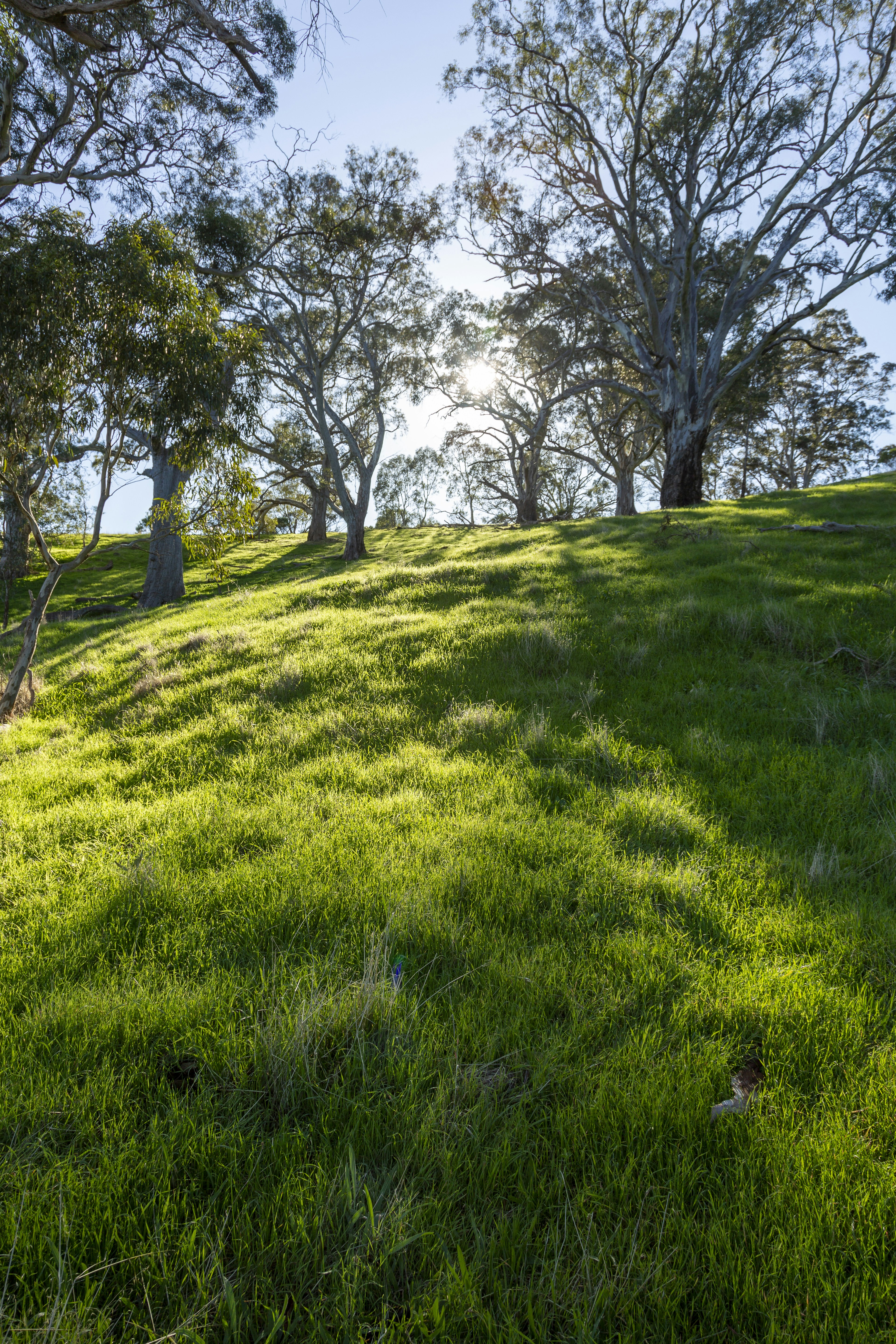 Photo by stephenmabbs