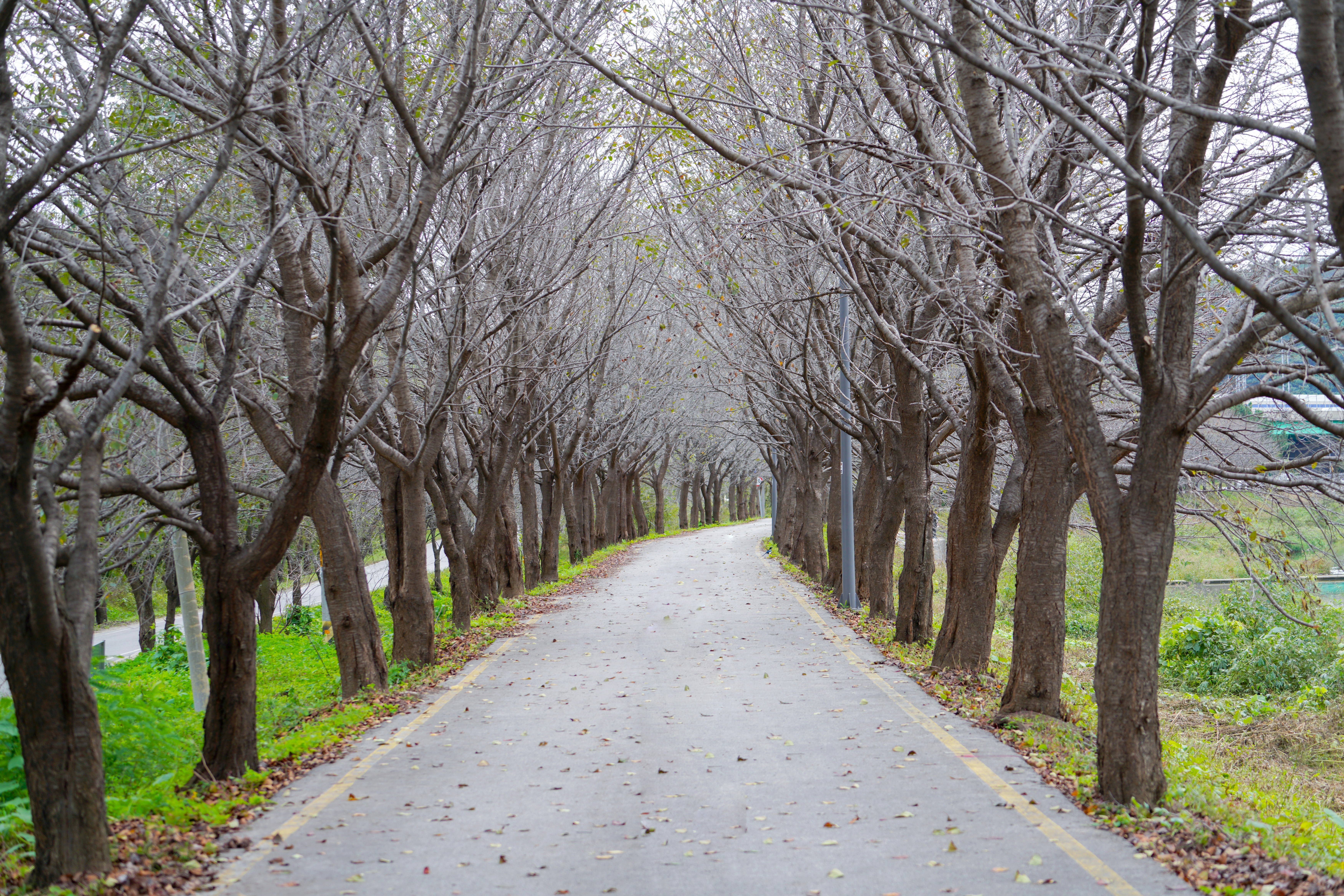 Photo by kim_dae_jeung