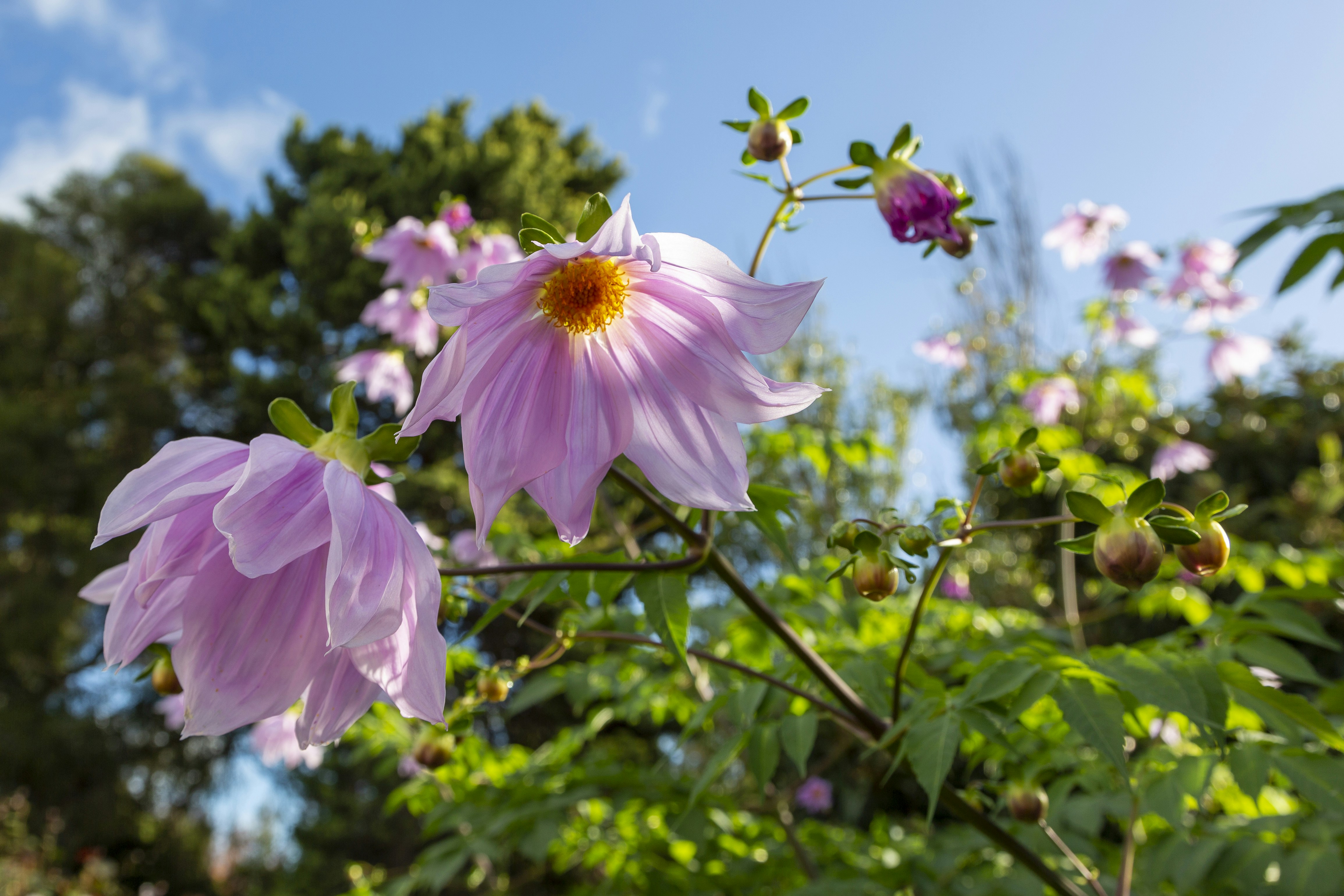 Photo by stephenmabbs