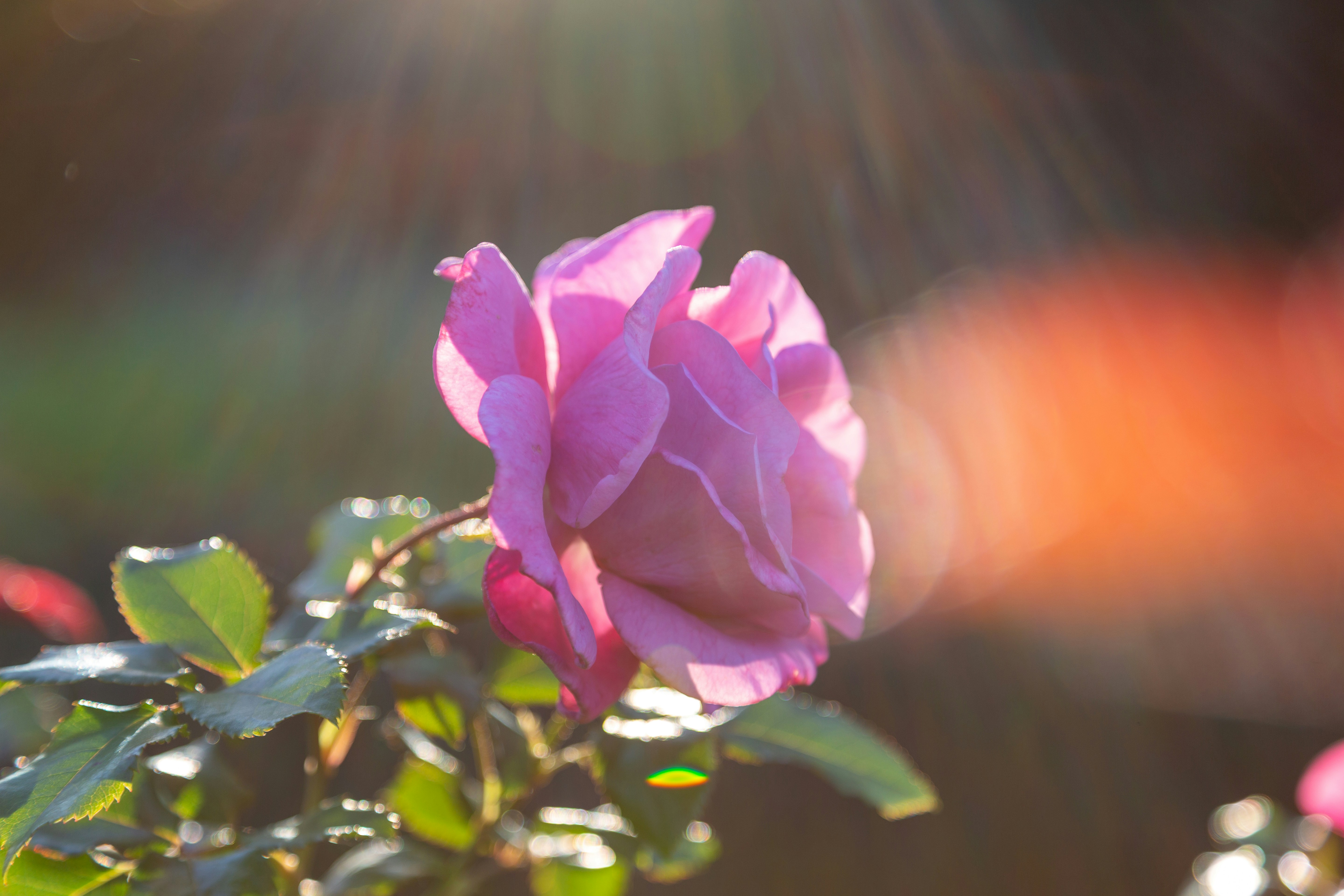 Photo by stephenmabbs