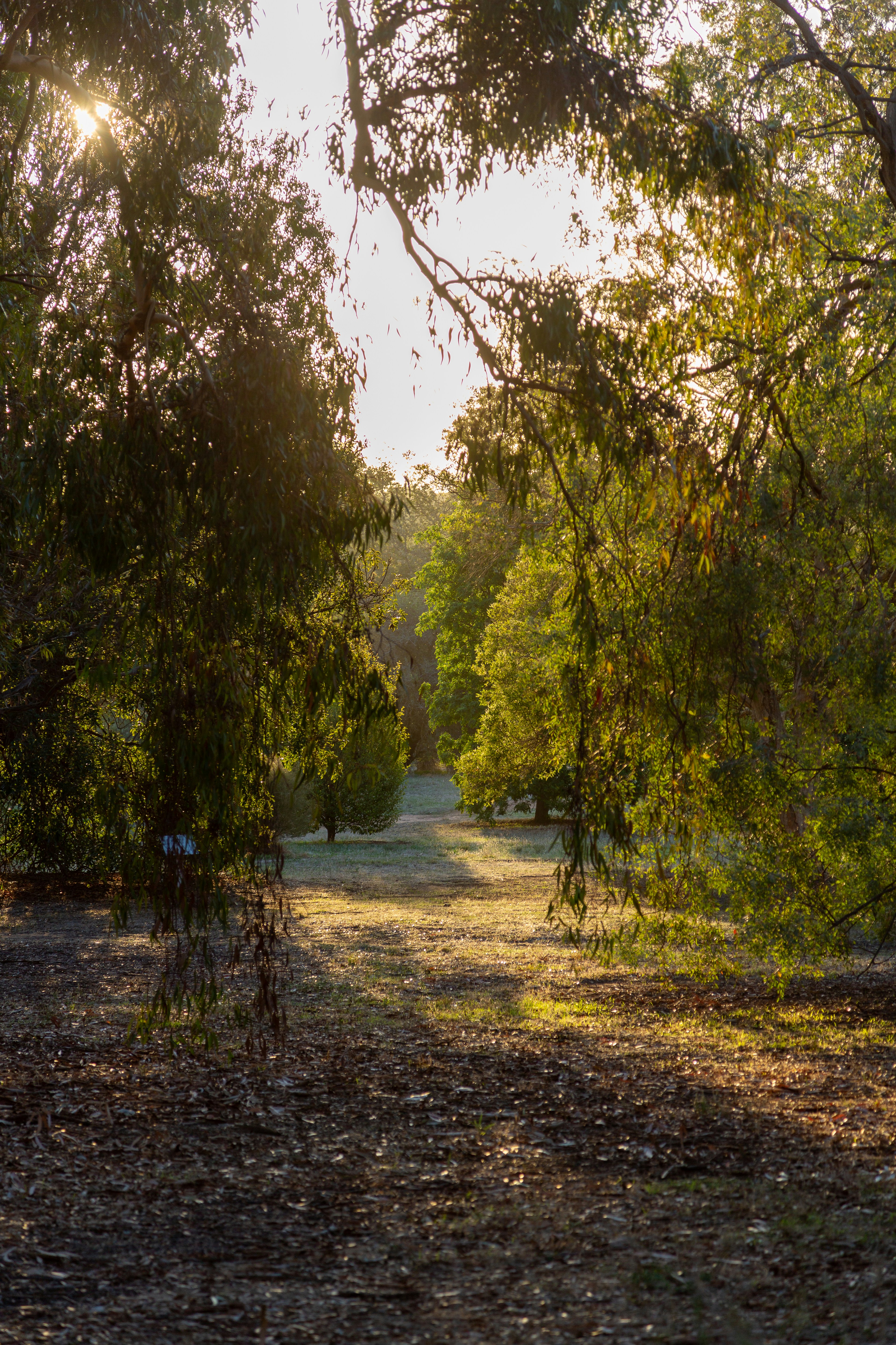 Photo by stephenmabbs