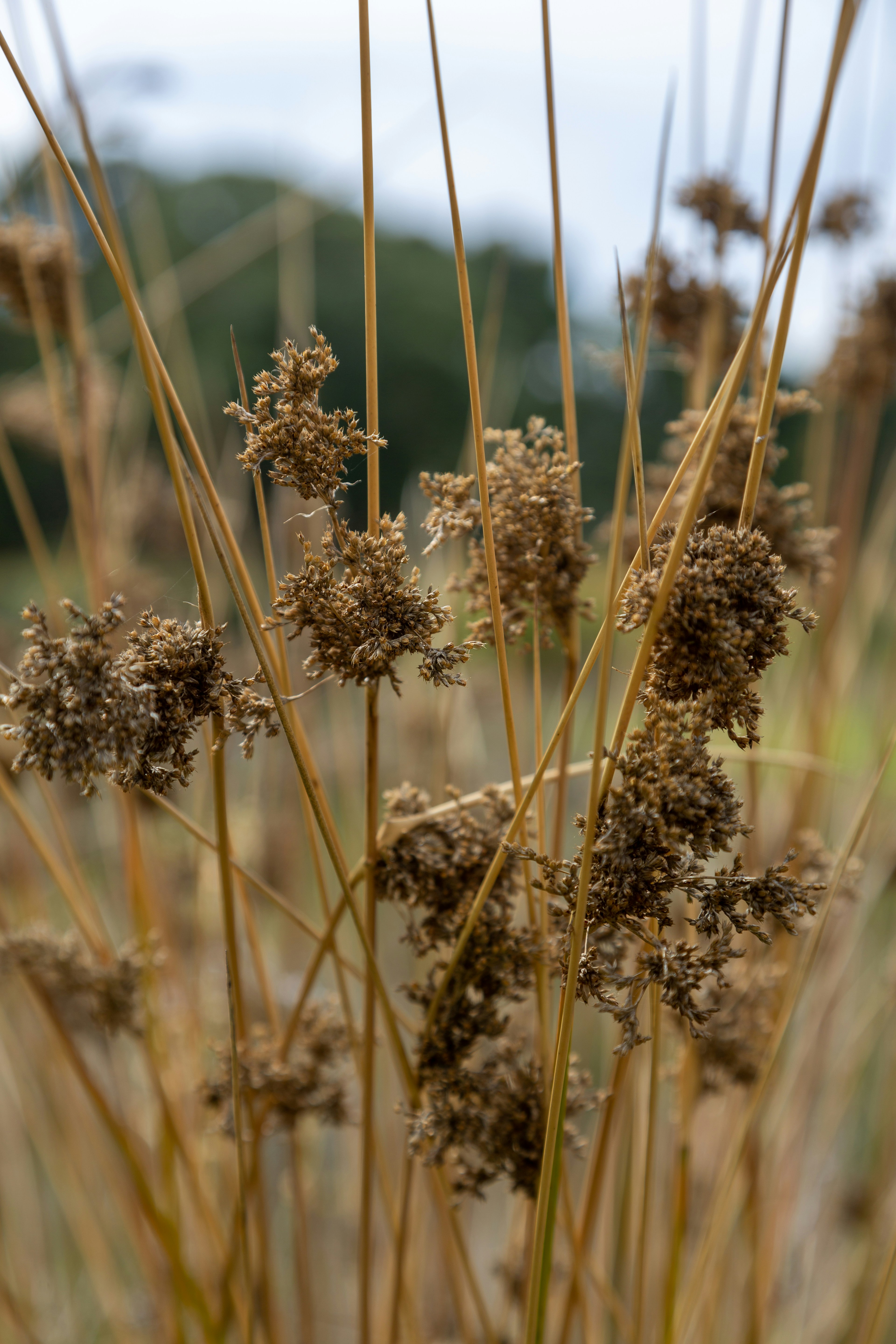 Photo by stephenmabbs