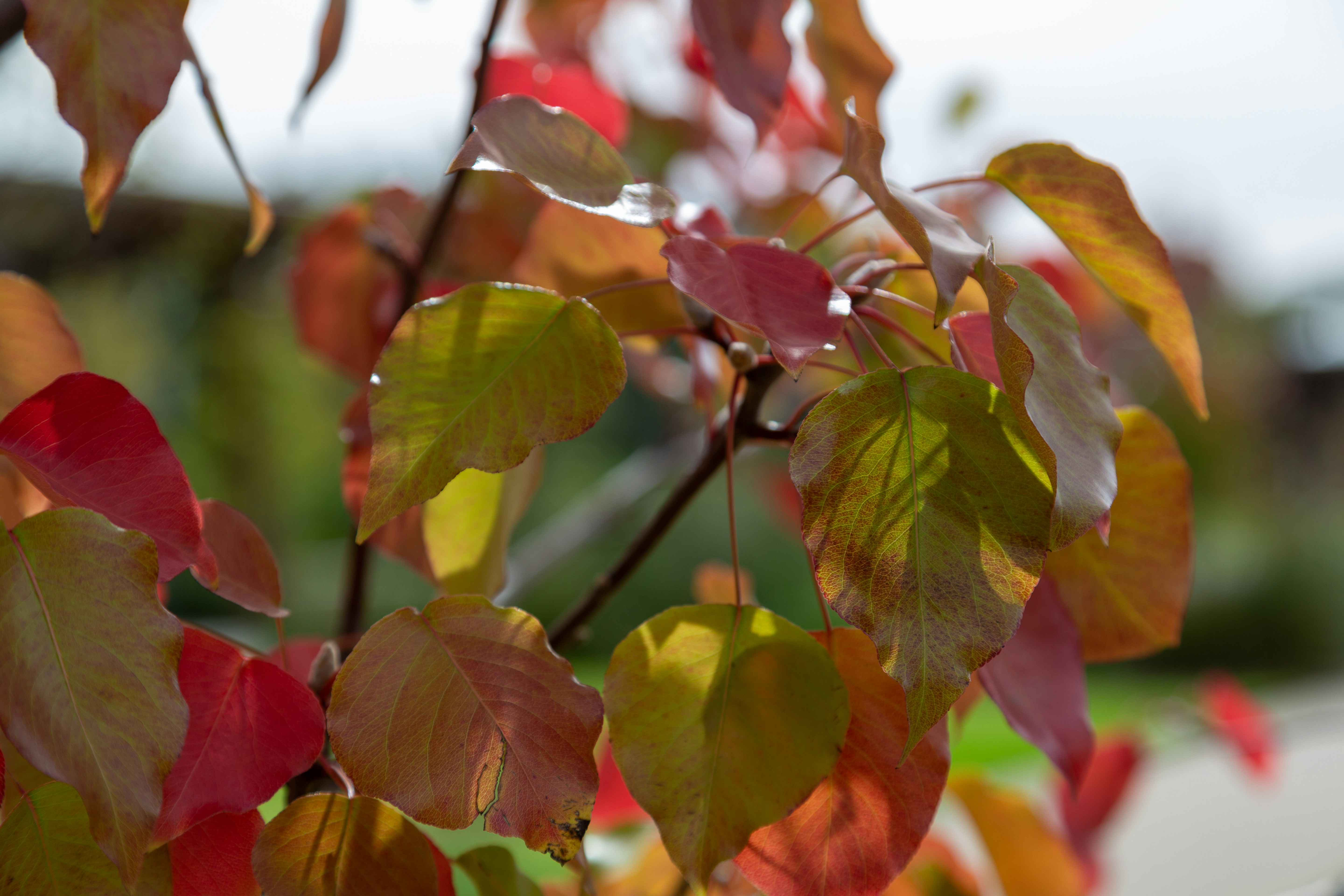 Photo by stephenmabbs