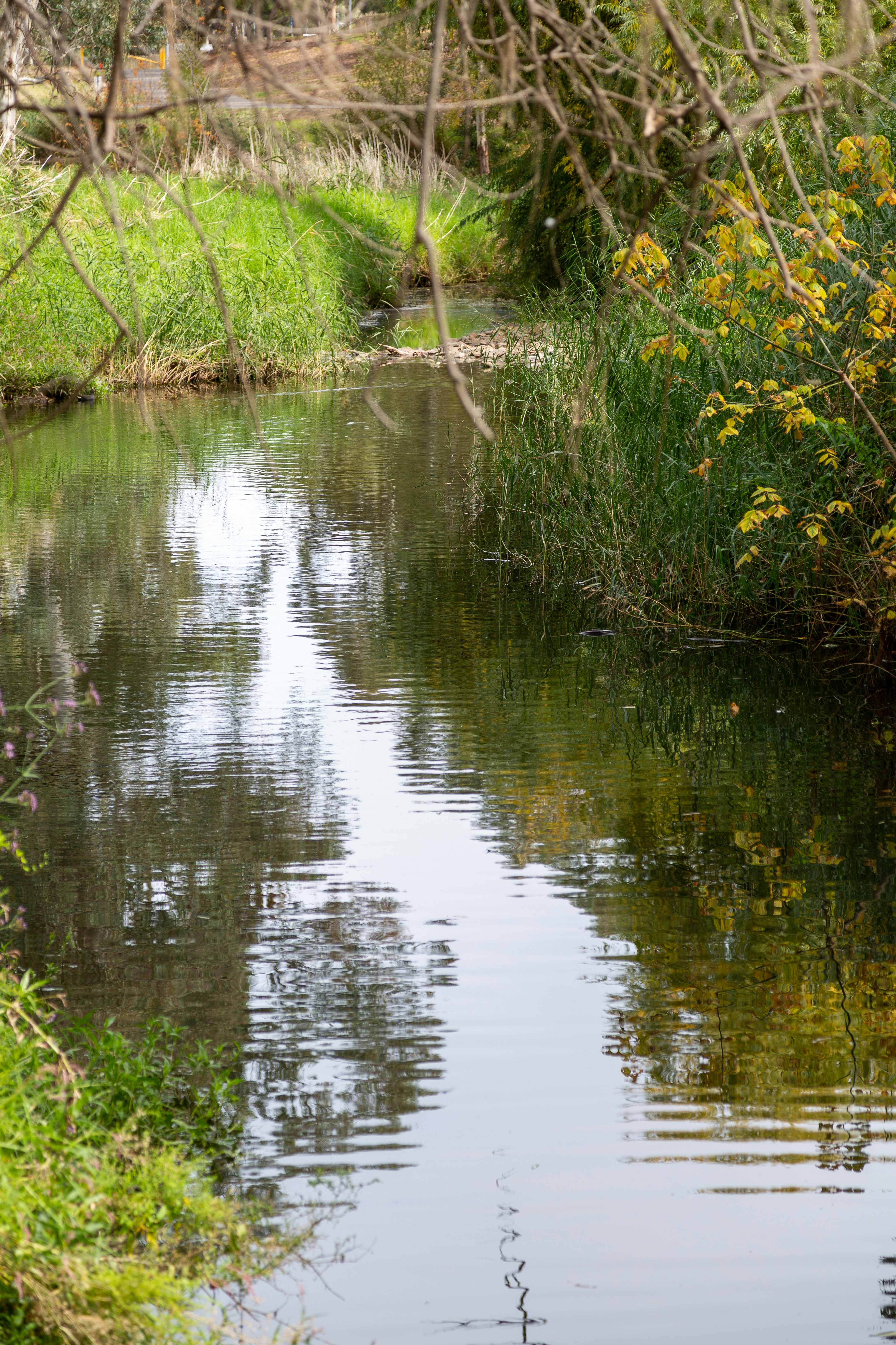 Photo by stephenmabbs