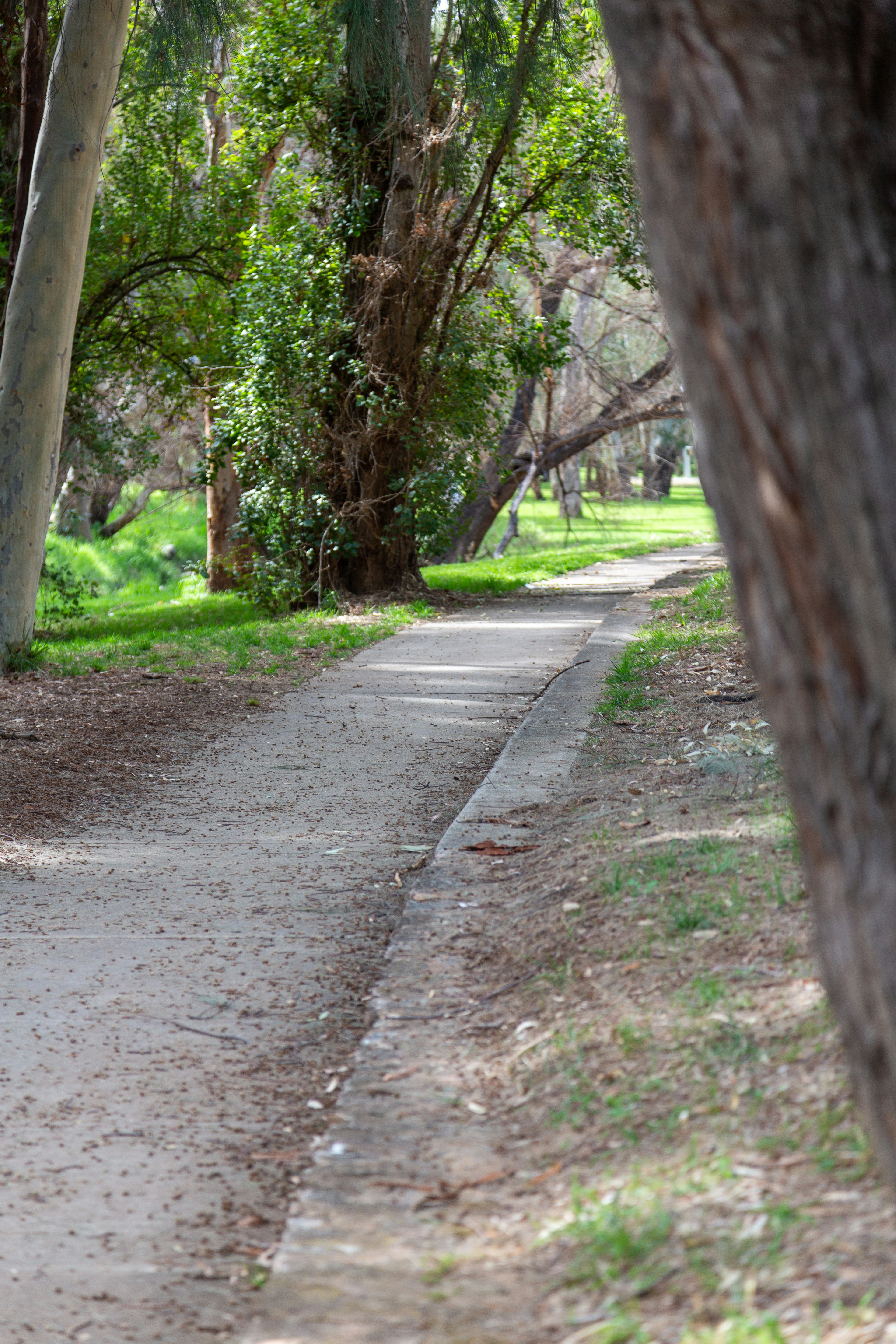 Felixstow, South Australia