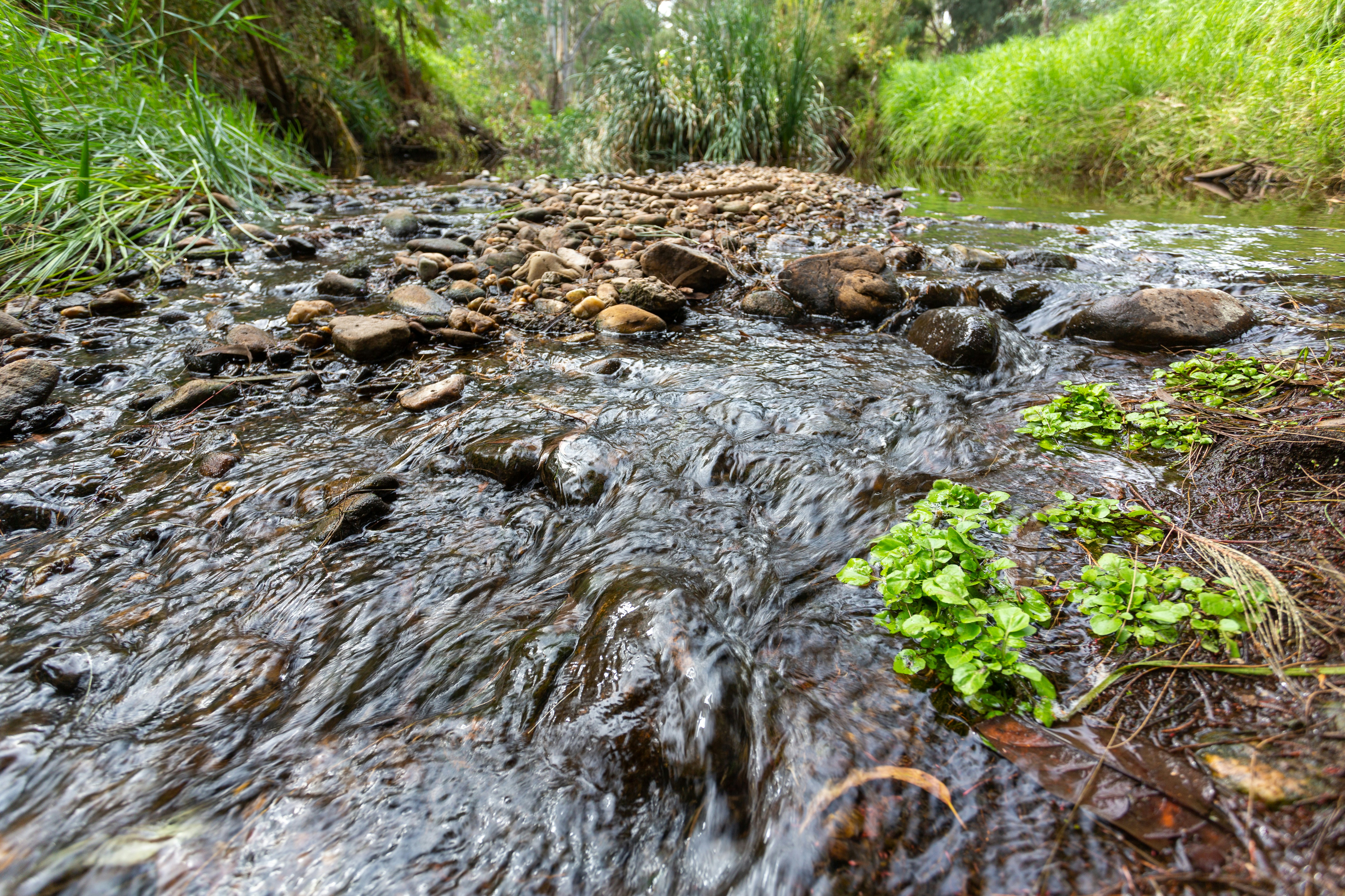 Photo by stephenmabbs