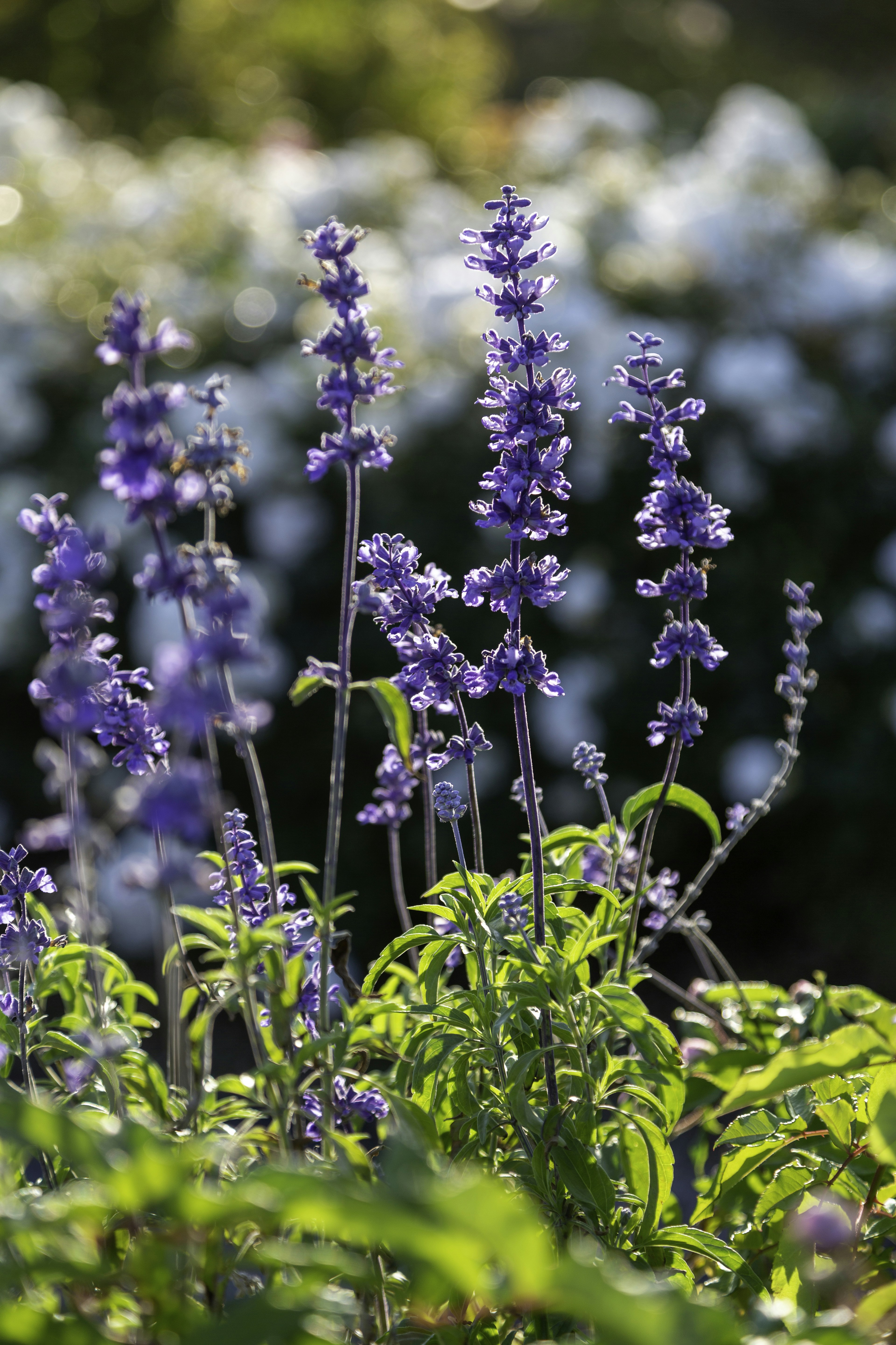 Photo by stephenmabbs