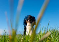 A gentle interaction between a trainer and a happy dog during a training session outdoors.