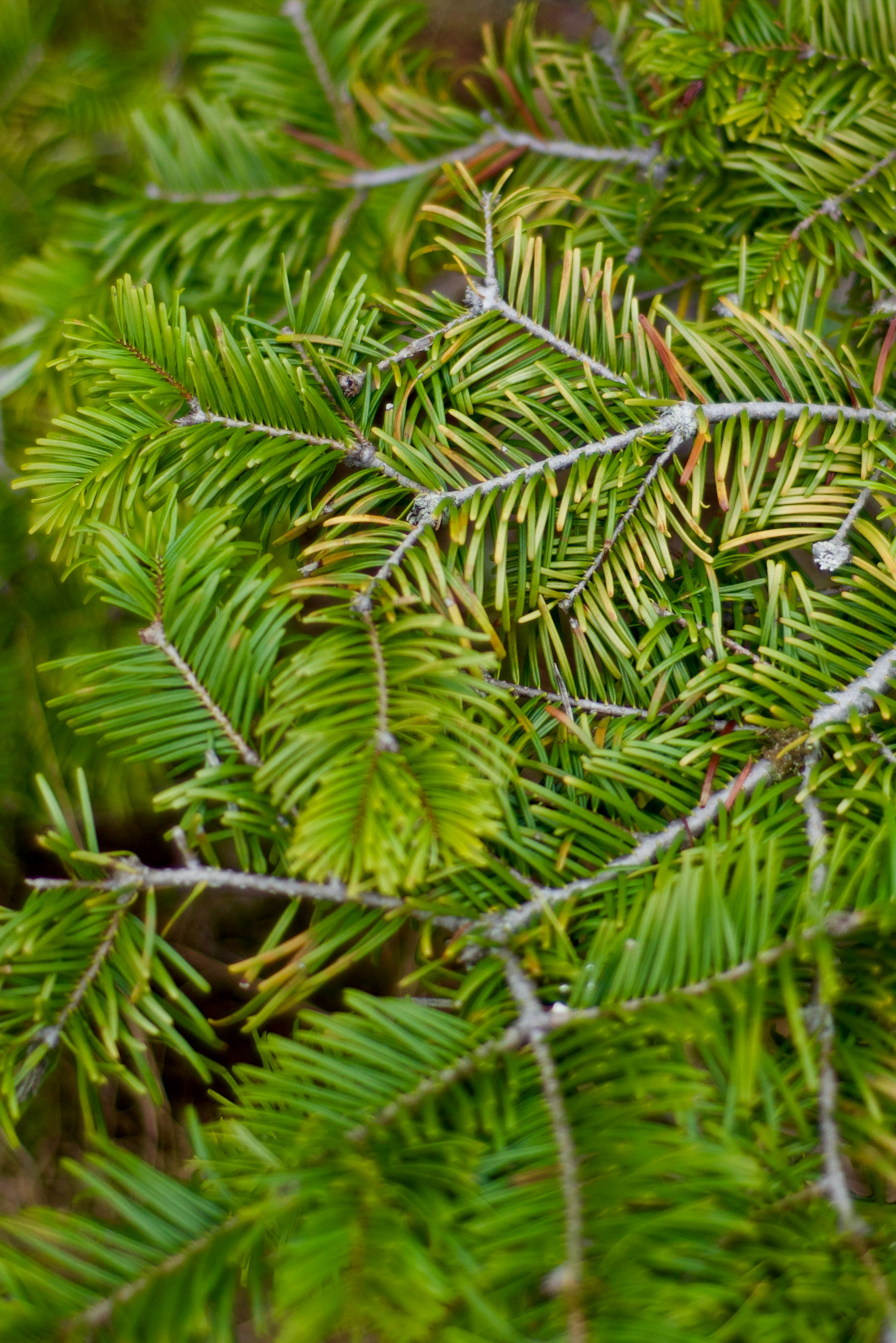 Photo by smithclukas