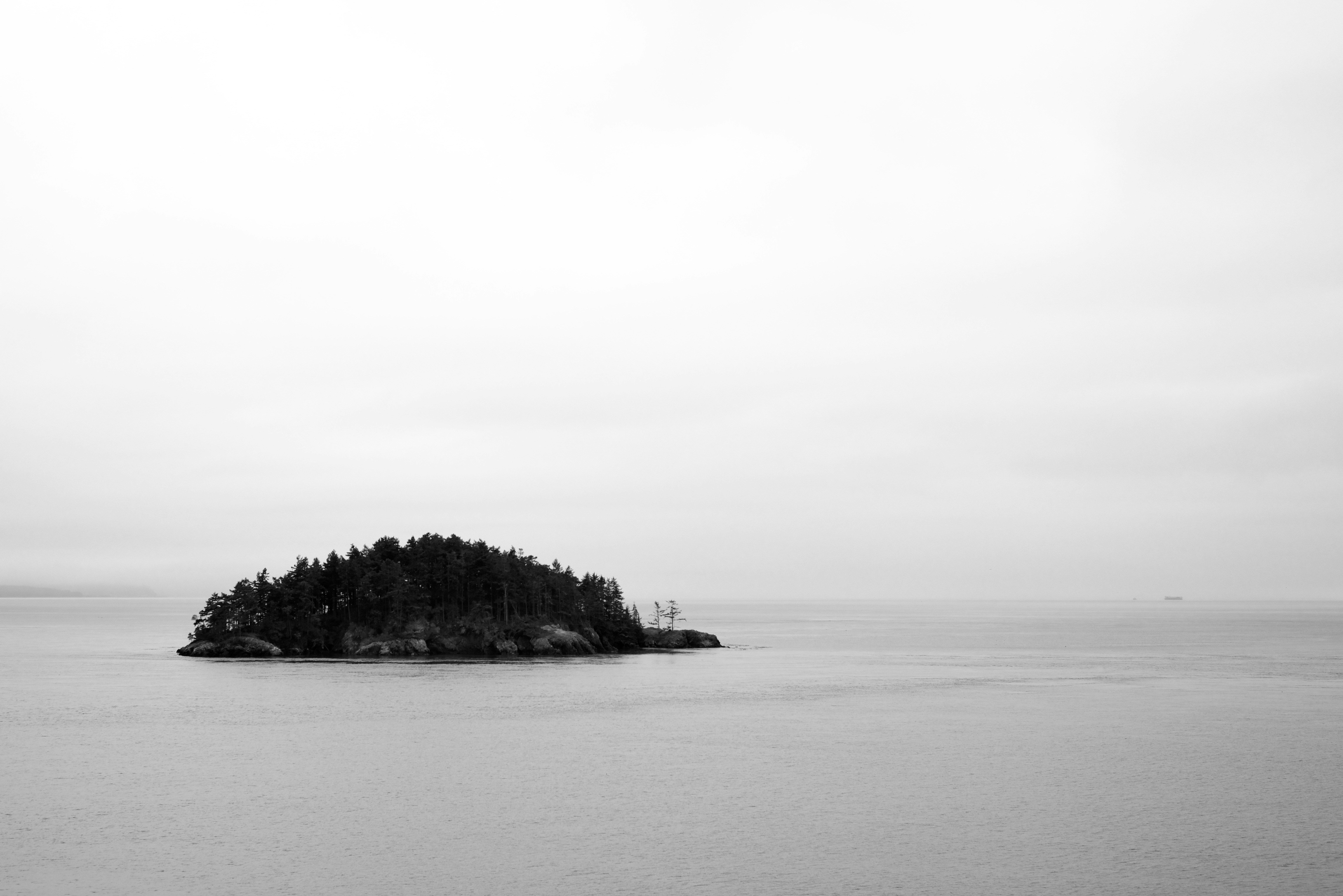 Photo by smithclukas