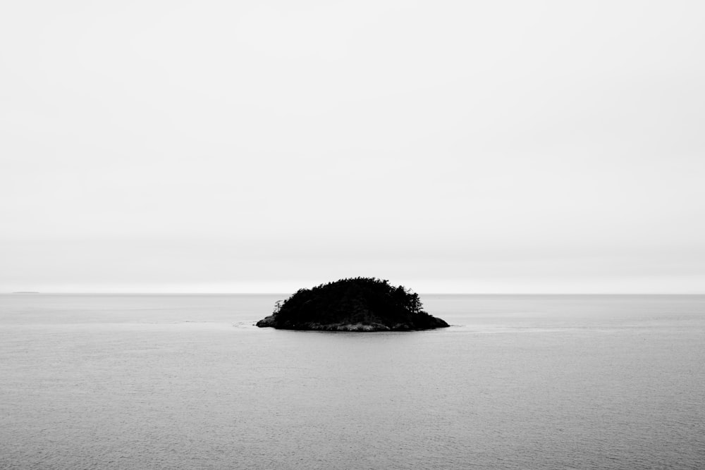 a black and white photo of an island in the middle of the ocean
