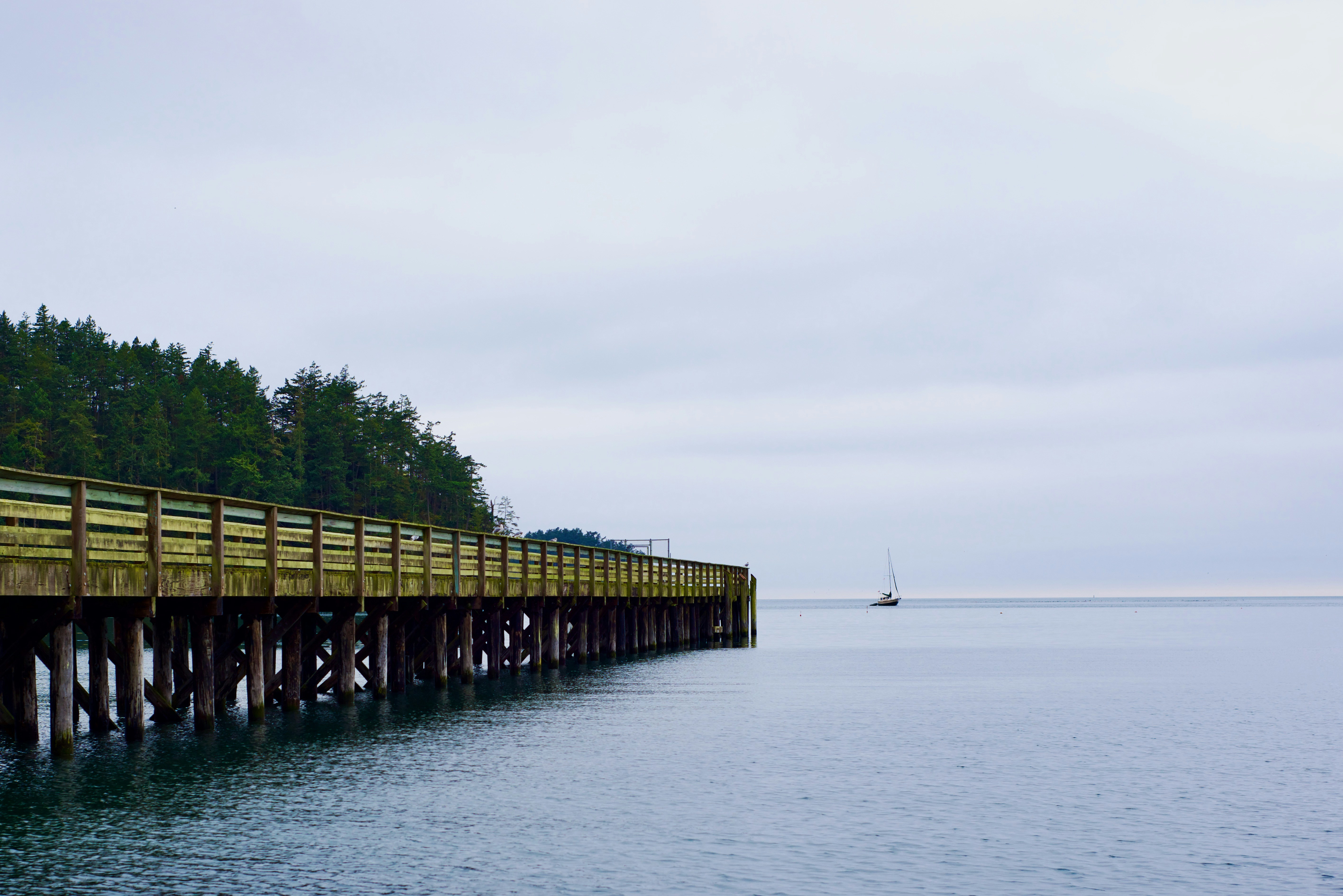 Photo by smithclukas