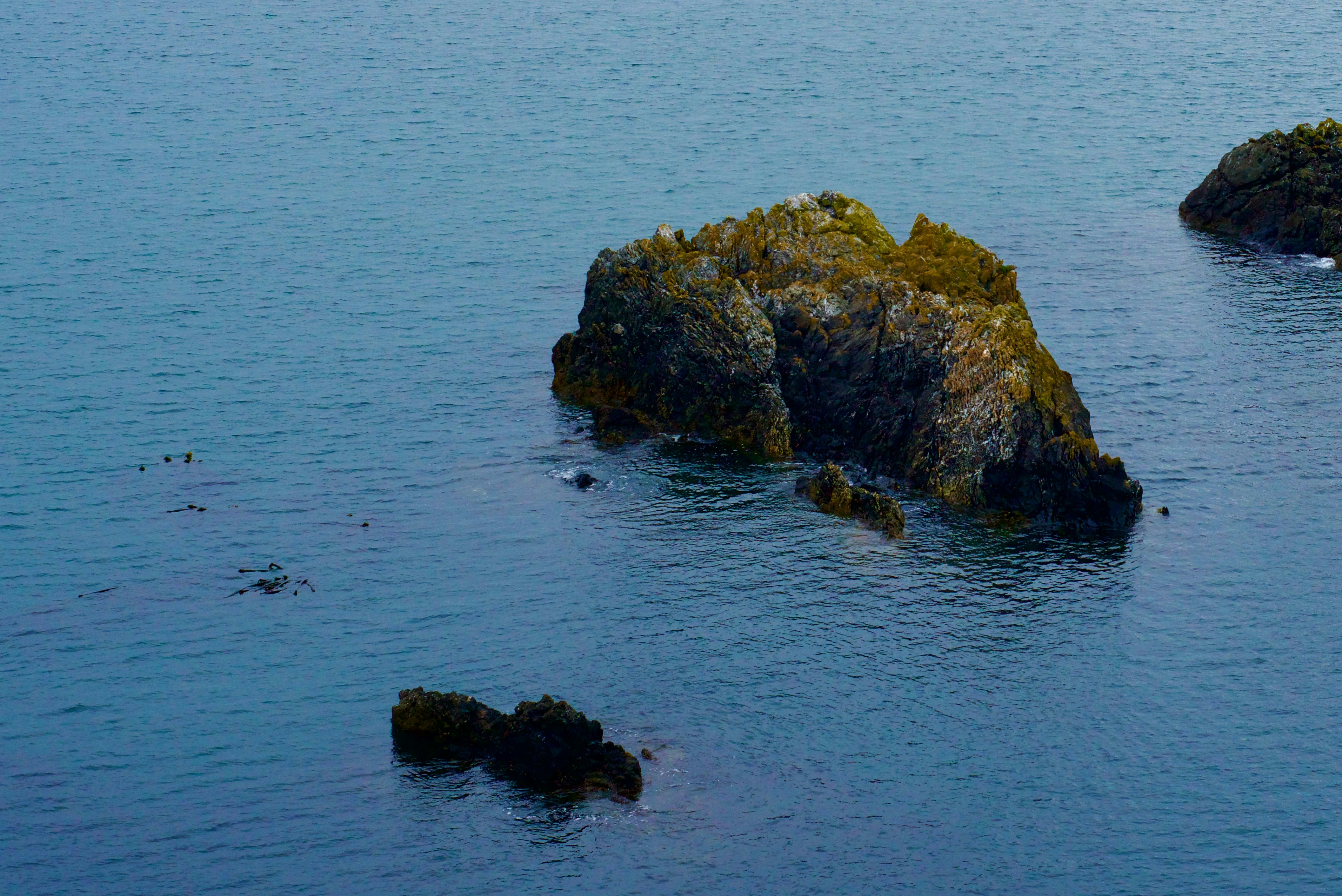 Photo by smithclukas