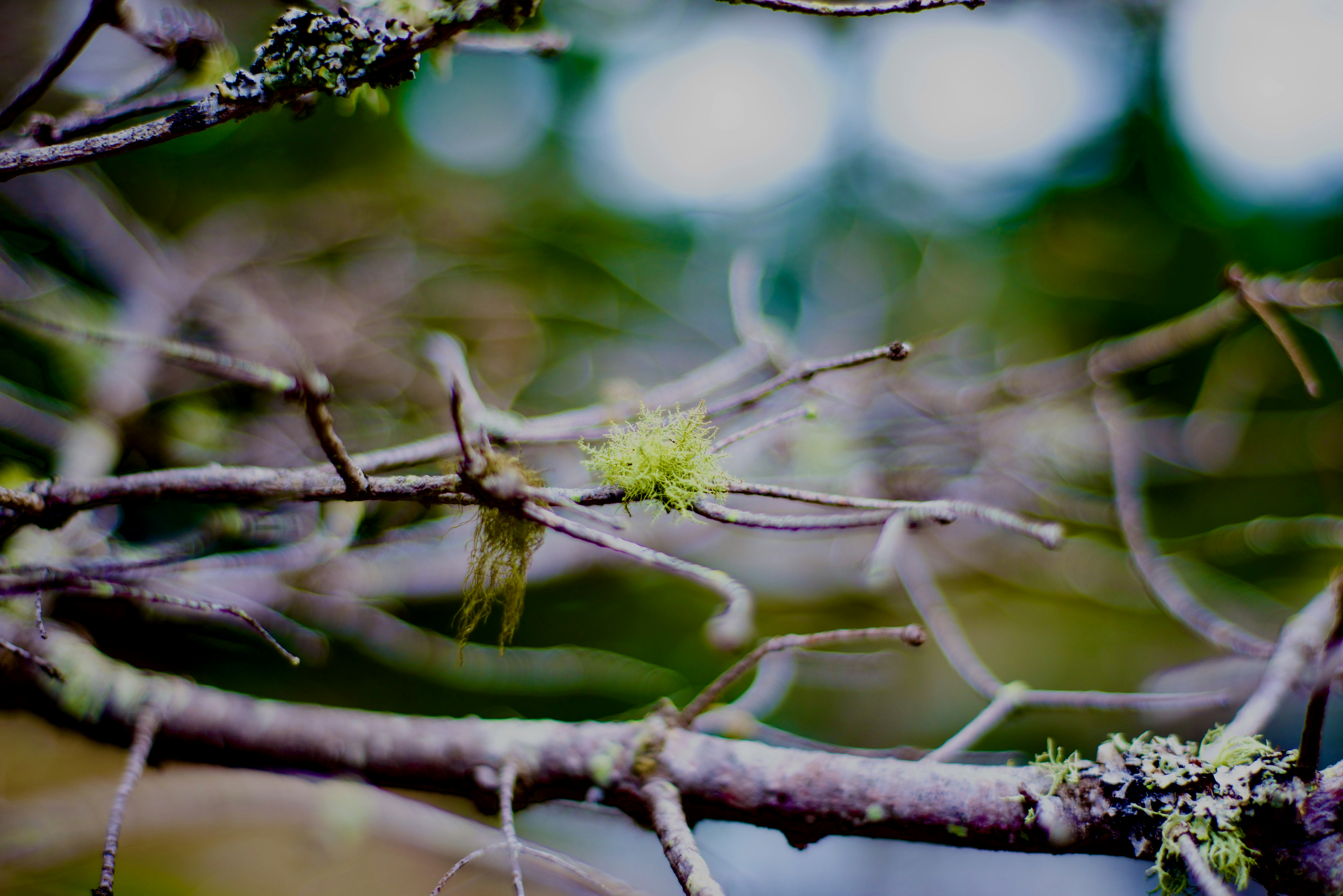 Photo by smithclukas