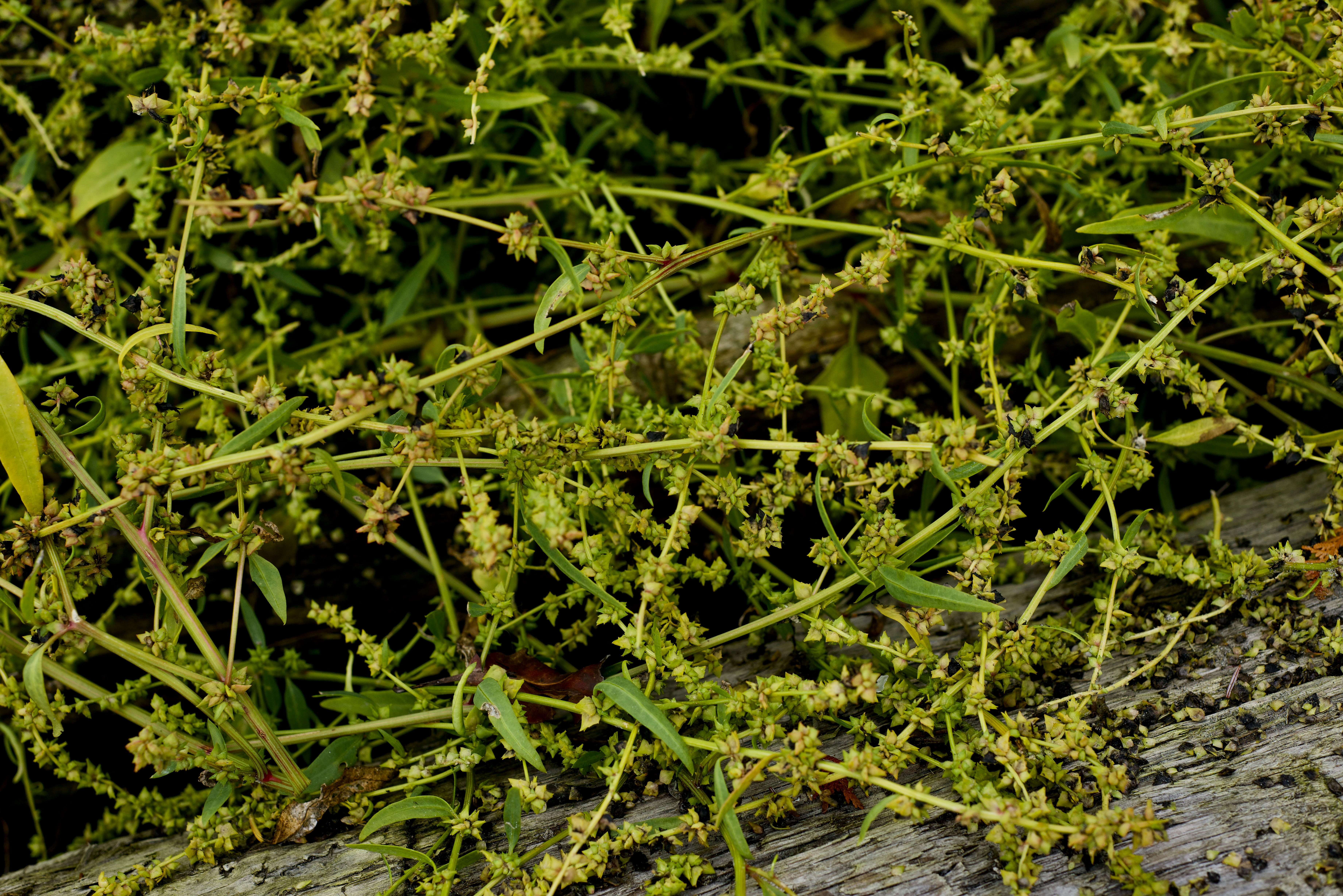 Photo by smithclukas