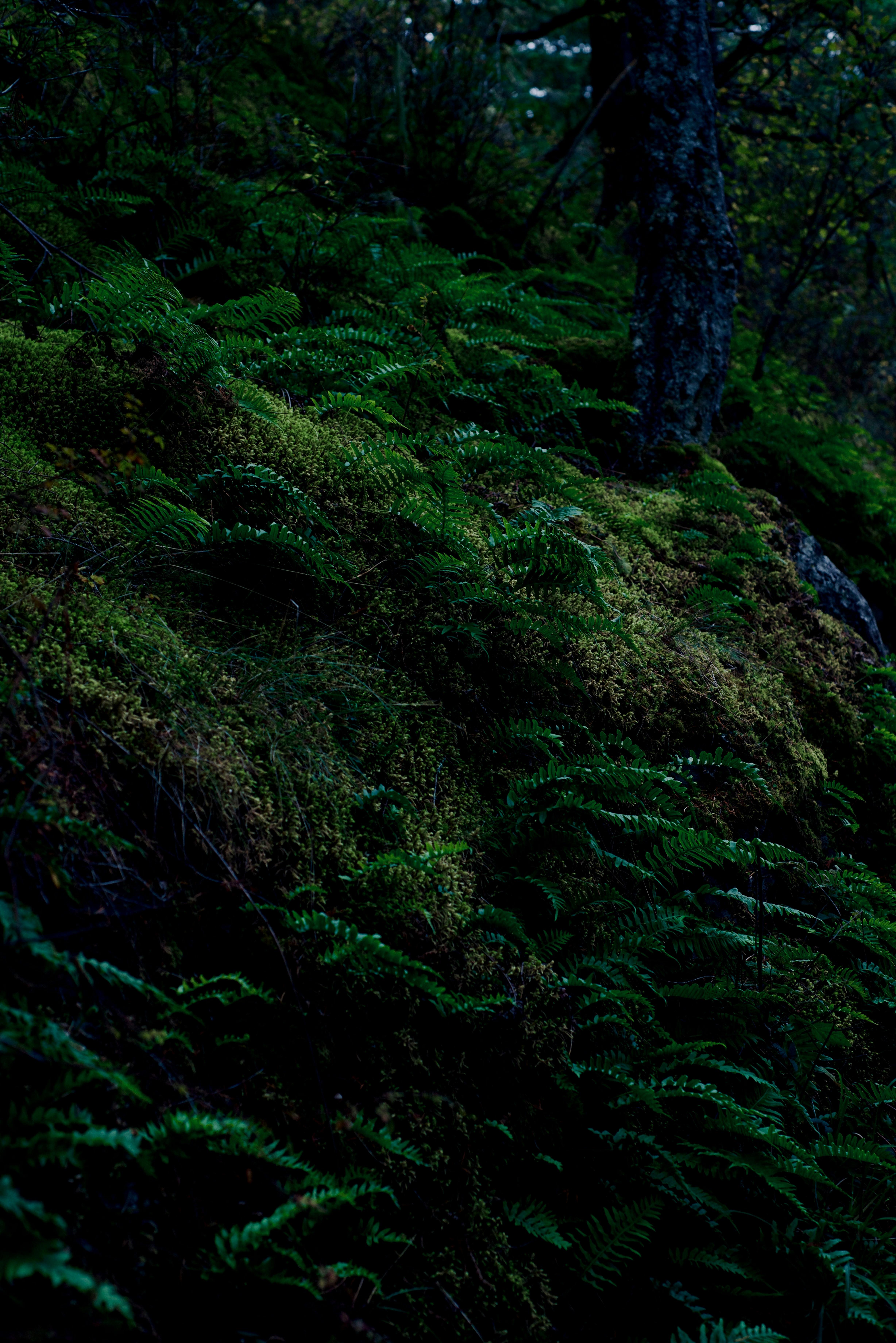 Photo by smithclukas