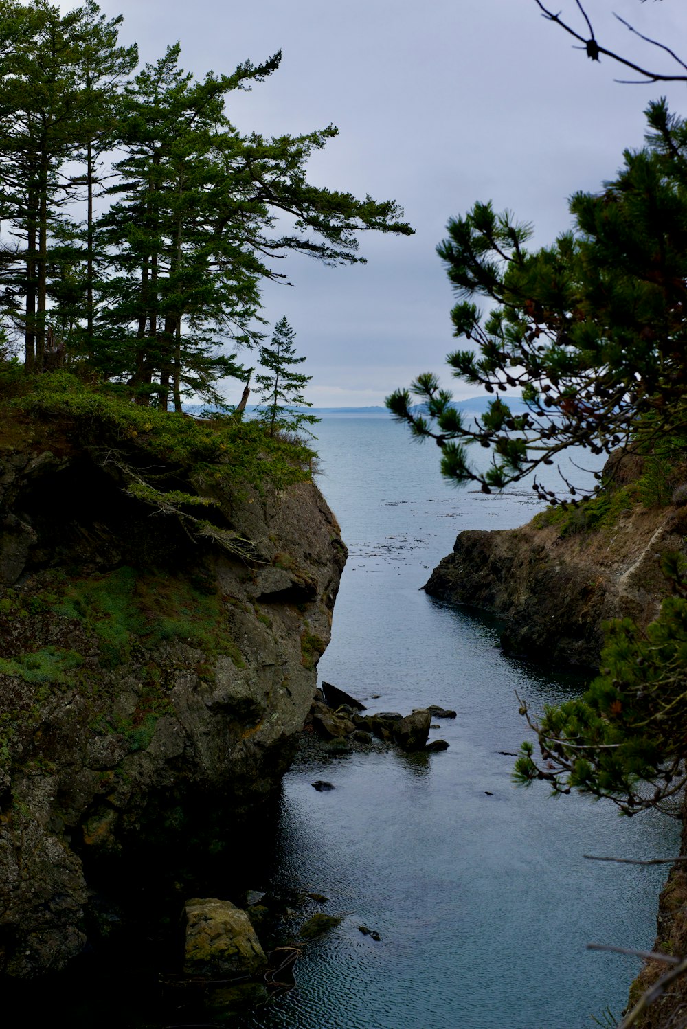 a body of water surrounded by trees and rocks