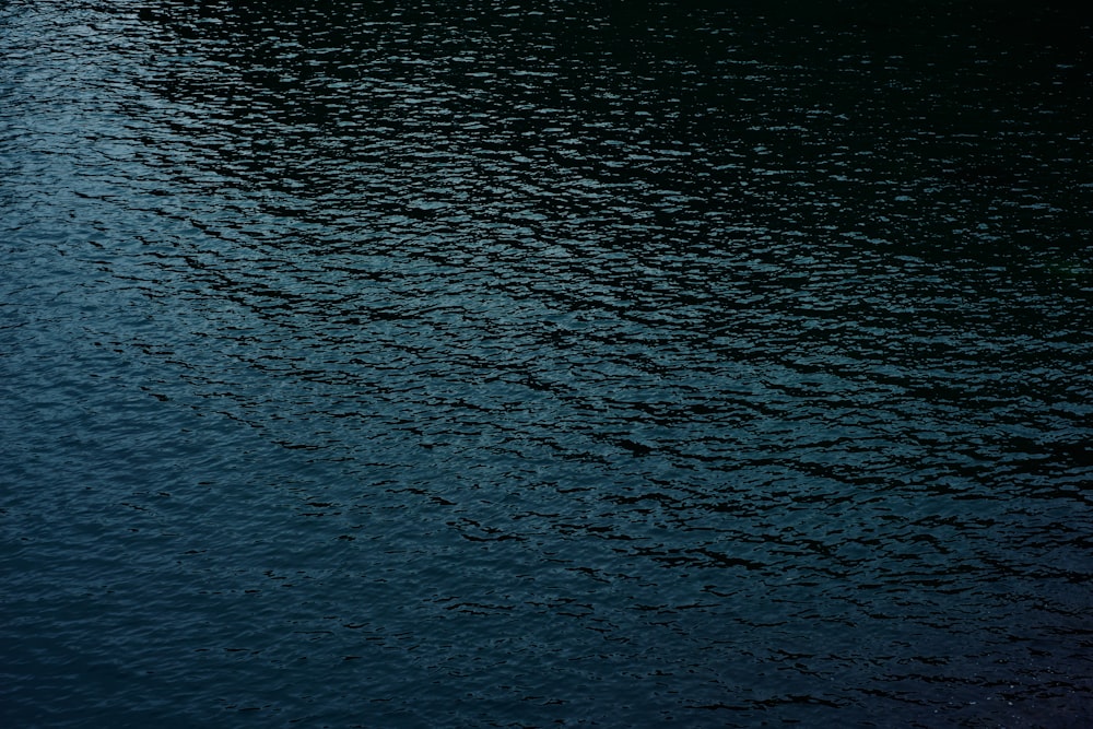 a boat floating on top of a body of water