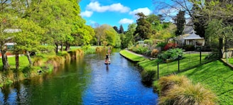 a river running through a lush green park