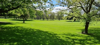 A lush green commercial park with well-maintained lawns and decorative plants under a clear sky.