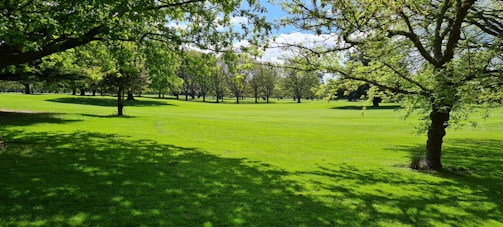 A lush green commercial park with well-maintained lawns and decorative plants under a clear sky.