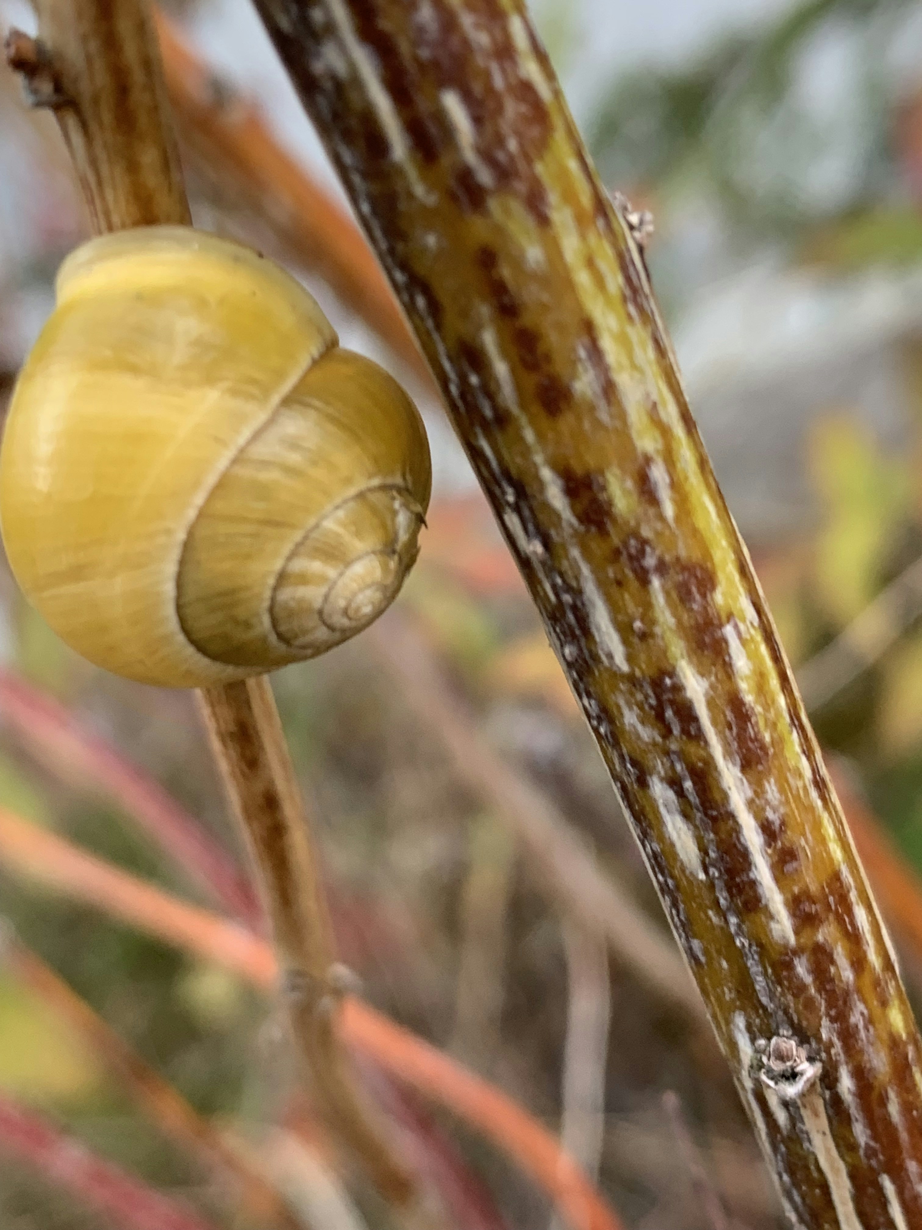 Photo by webdrawcolors