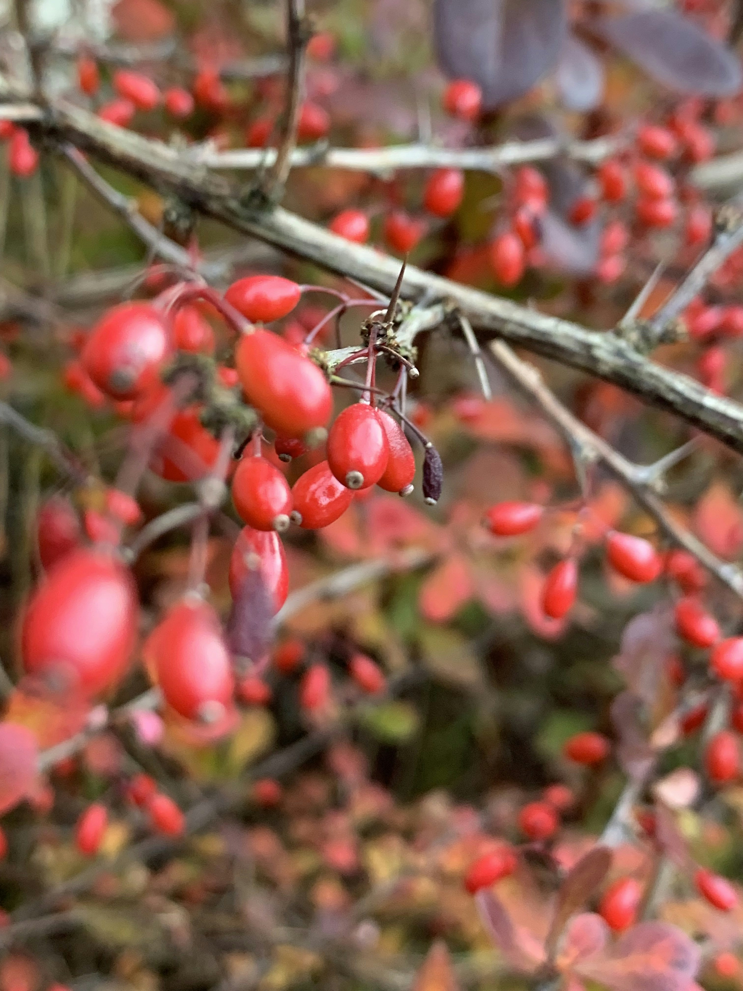 Photo by webdrawcolors