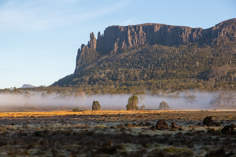 un campo brumoso con una montaña al fondo