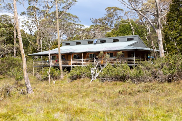A wooden cabin with a metal roof is situated in a lush, wooded area. The building has a long porch with railings and is elevated on stilts. Tall trees with thin trunks surround the cabin, and patches of green grass along with shrubs fill the foreground.