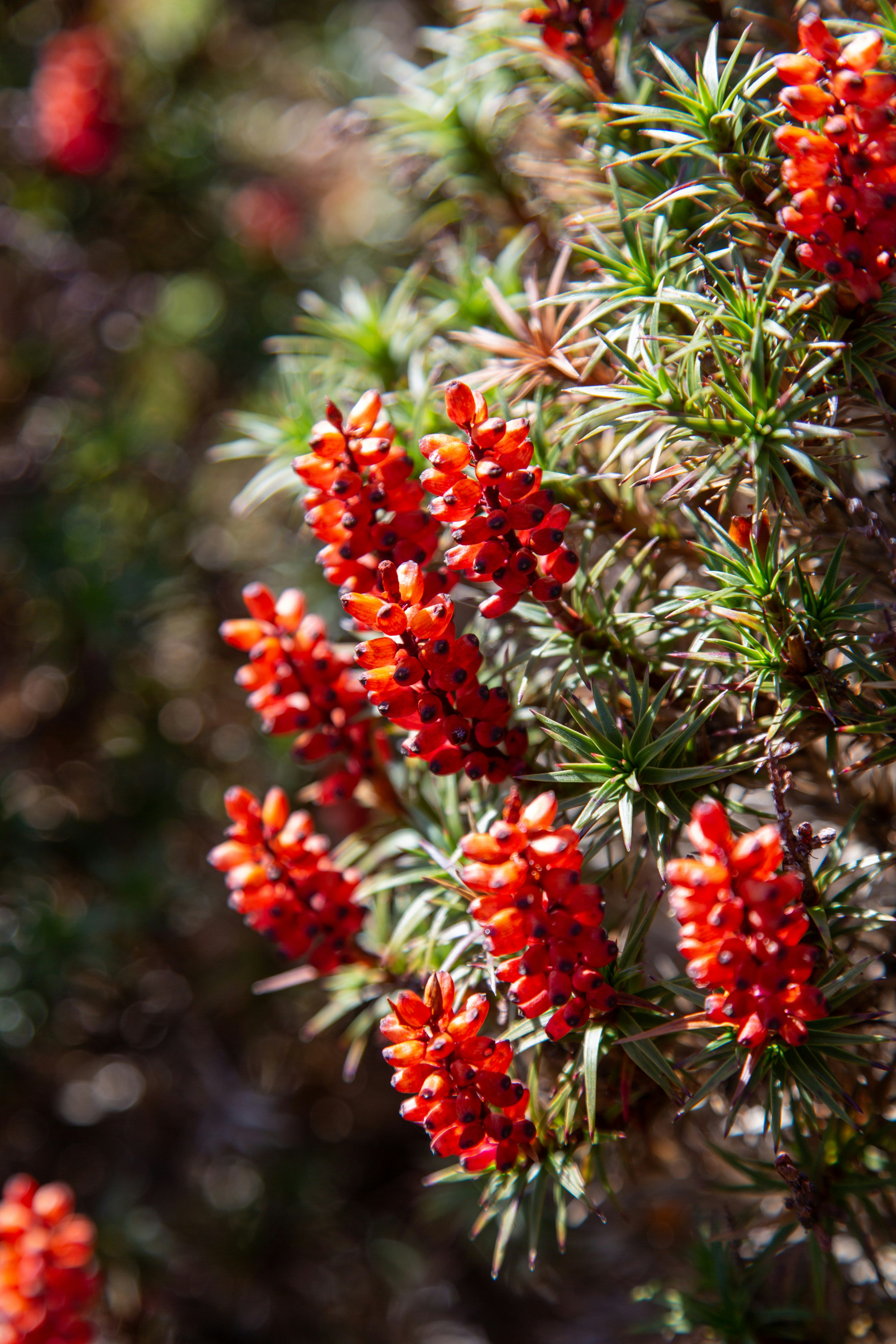 Photo by stephenmabbs