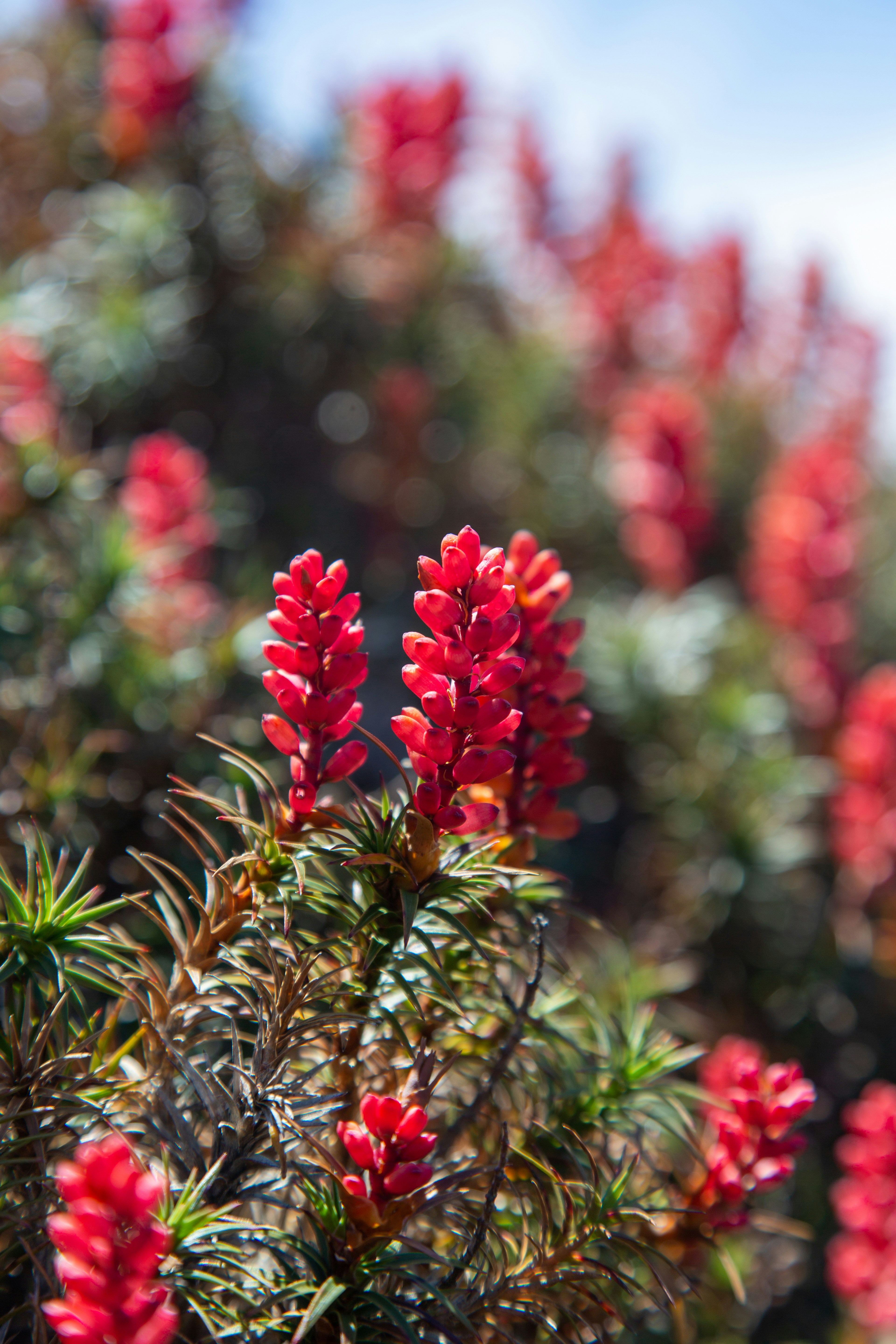 Photo by stephenmabbs