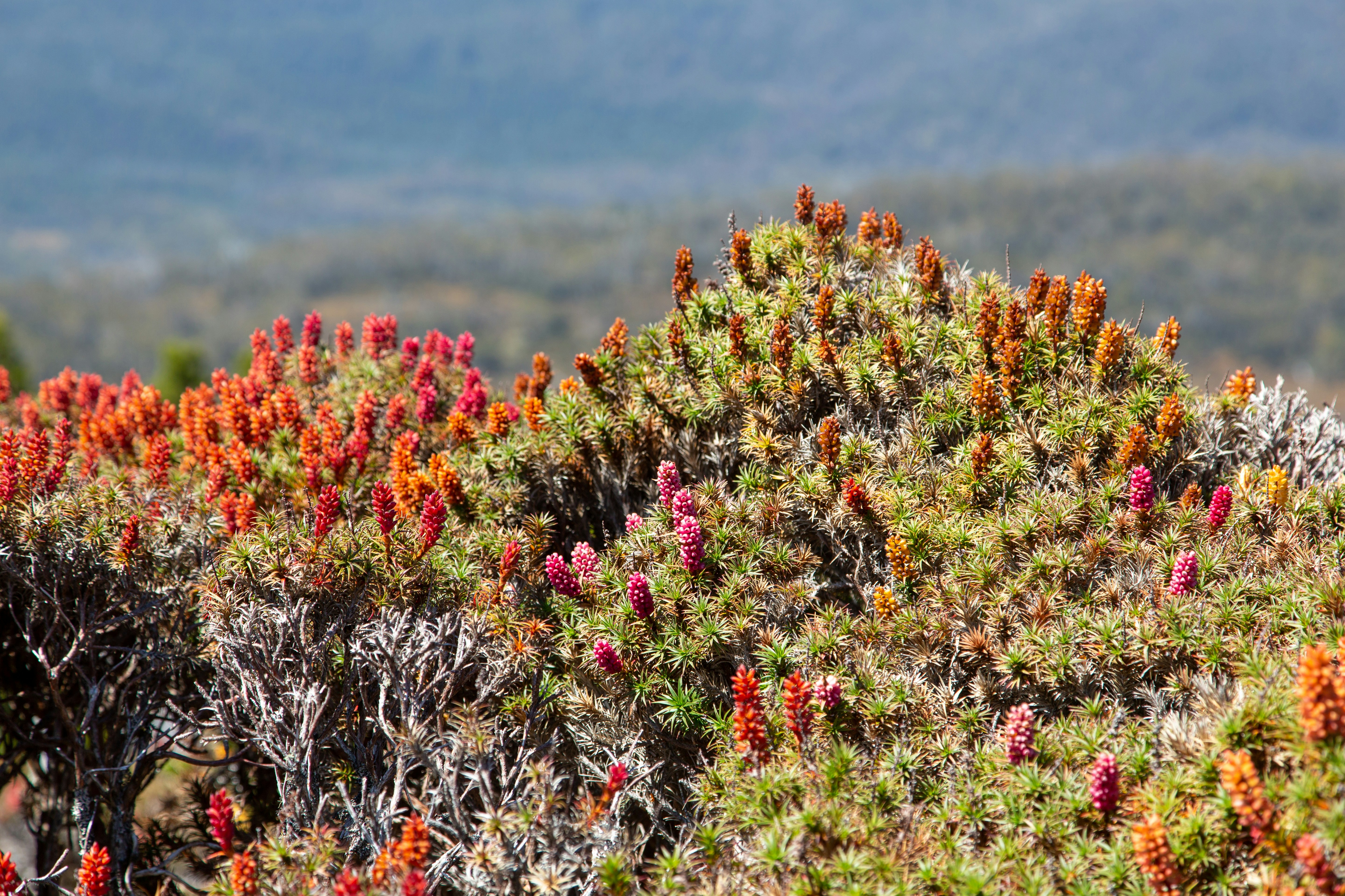 Photo by stephenmabbs