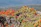 A vibrant image of native plants in the Andes.