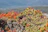 A vibrant image of native plants in the Andes.