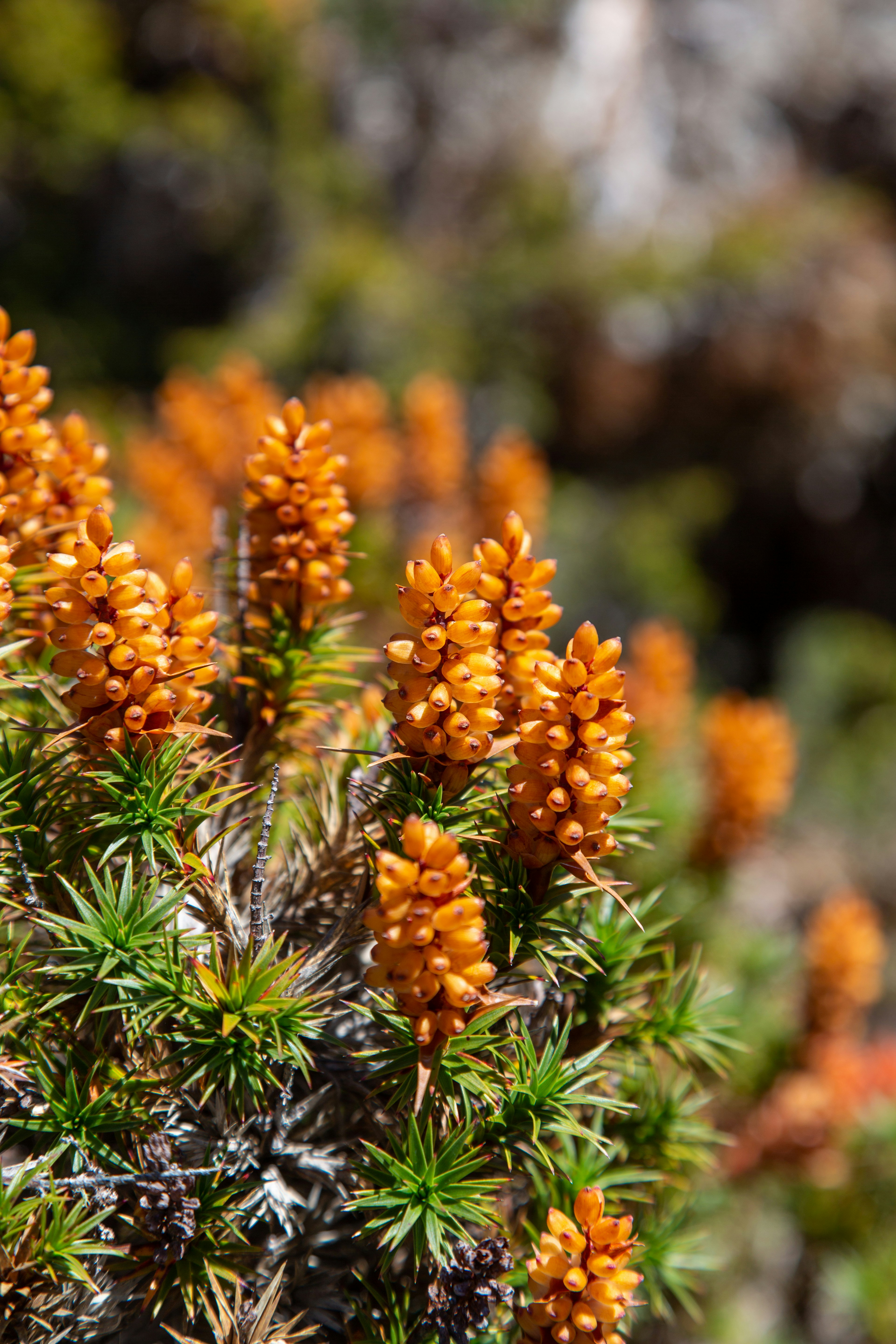 Photo by stephenmabbs