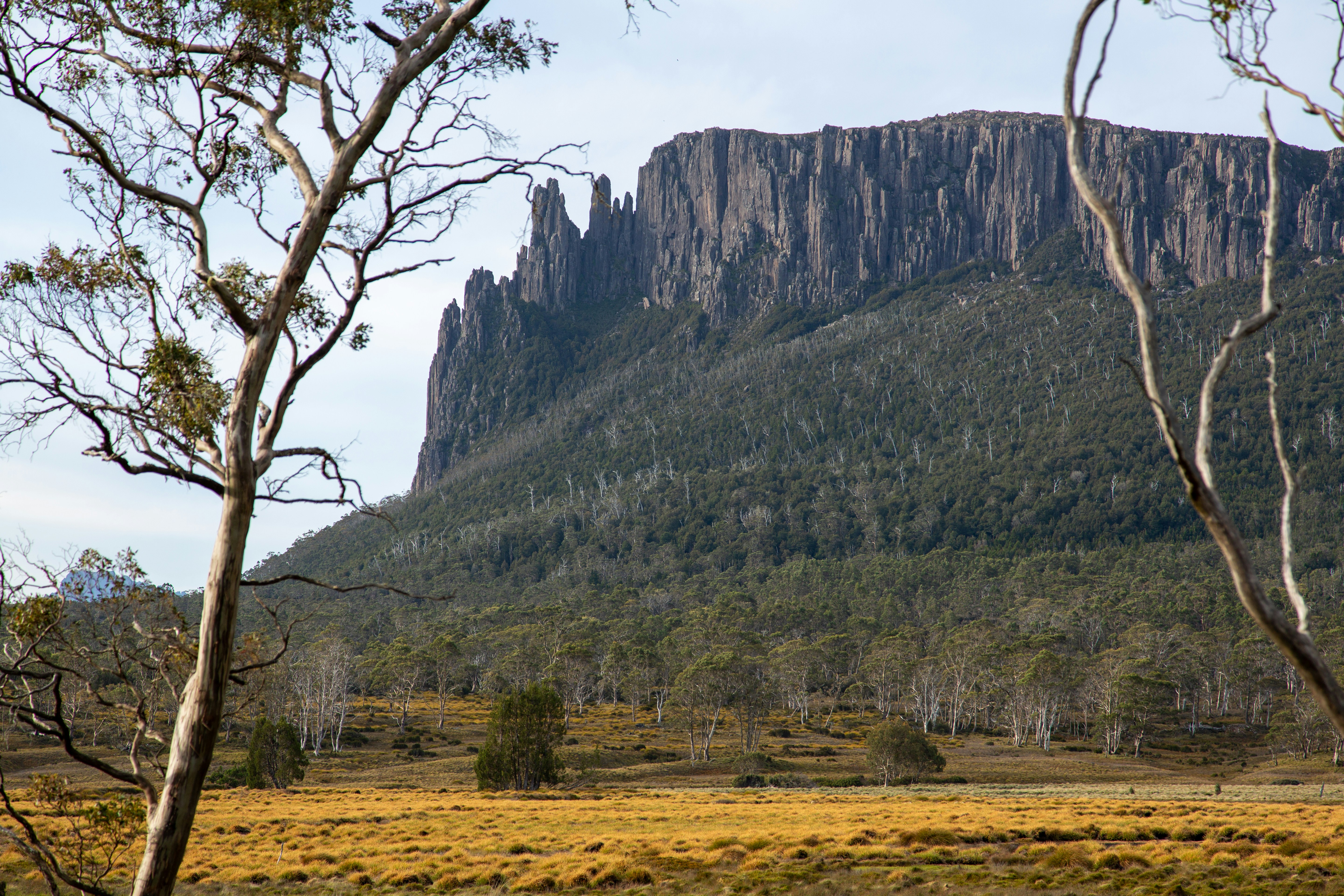 Photo by stephenmabbs