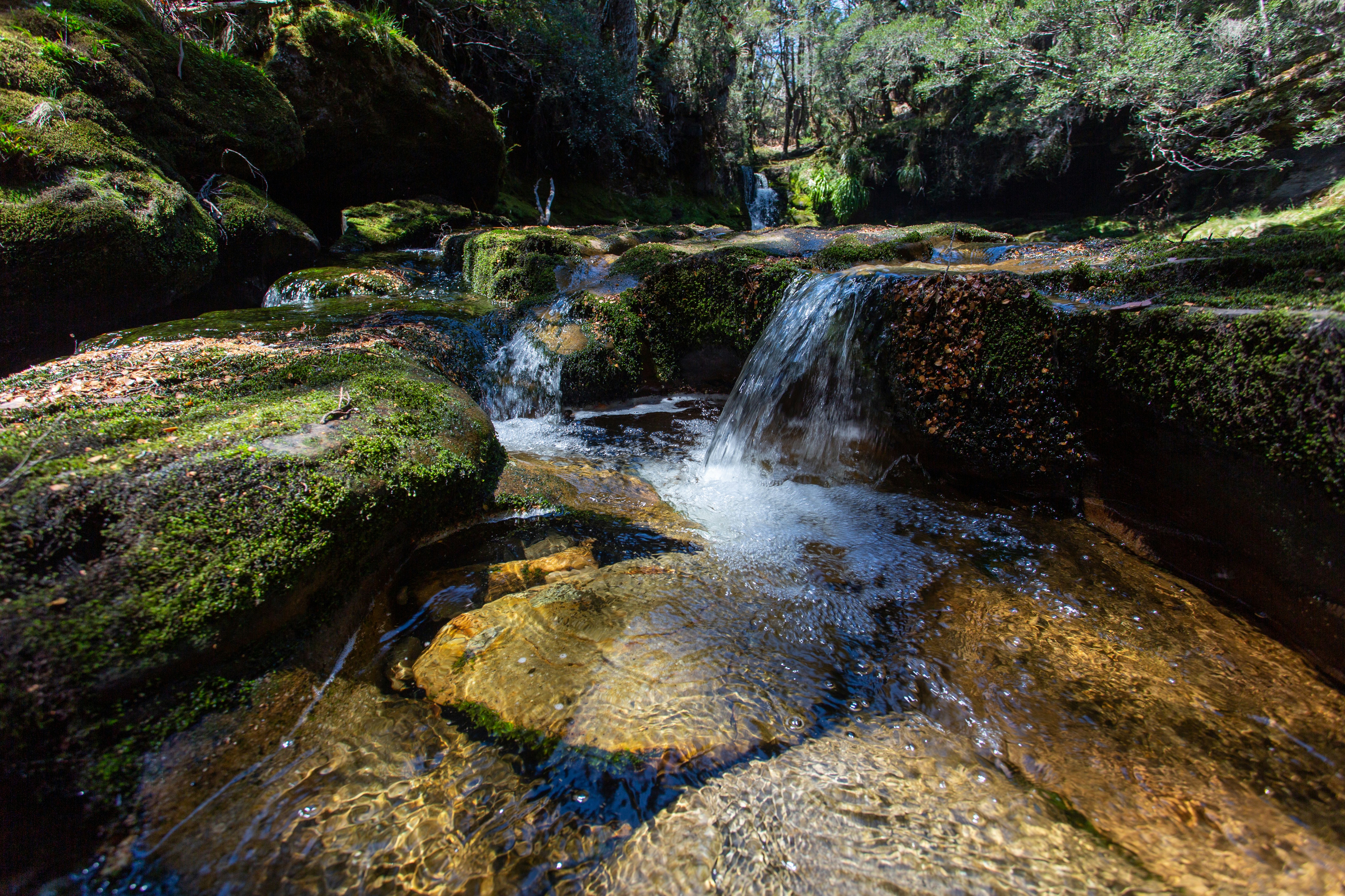 Photo by stephenmabbs