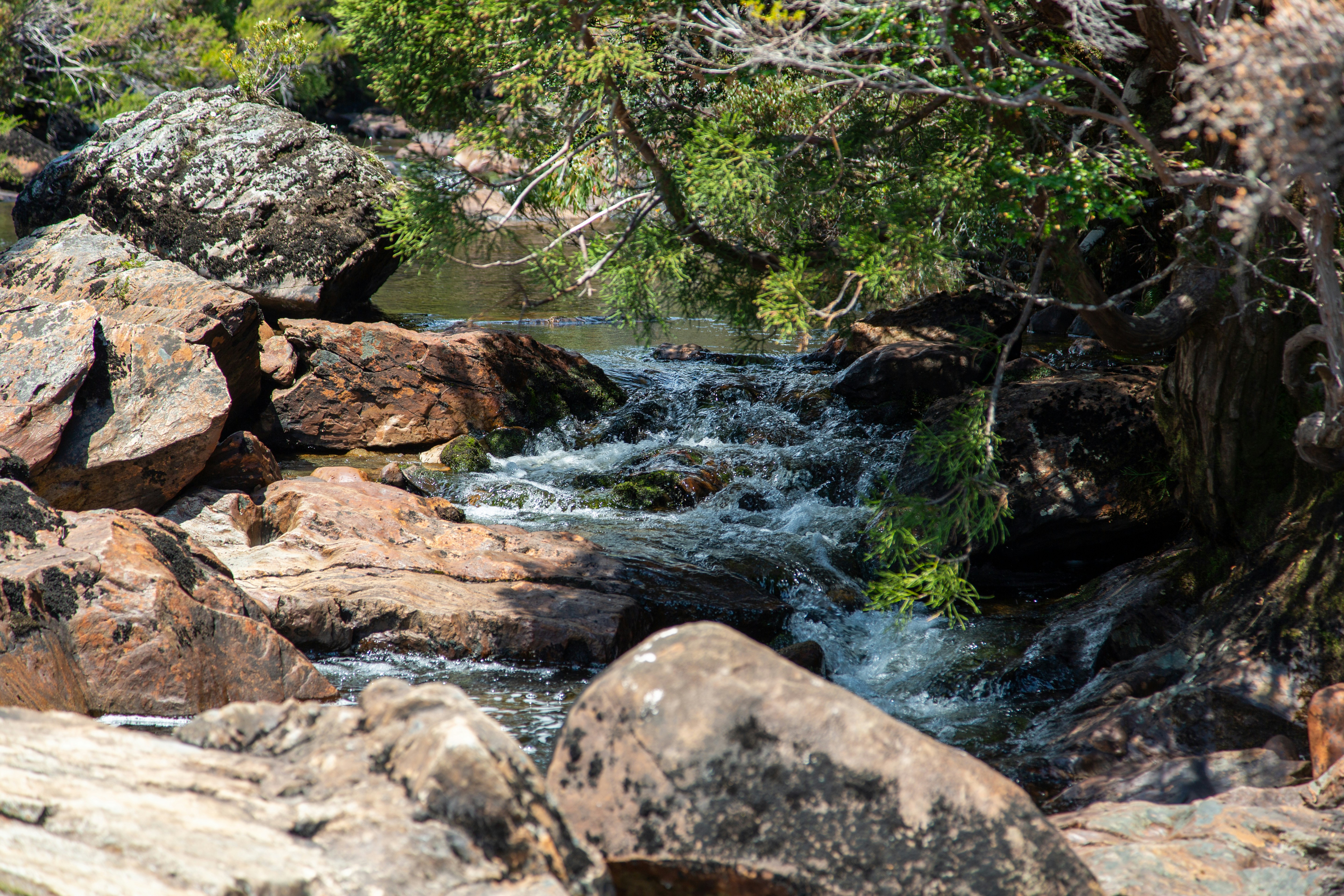 Photo by stephenmabbs