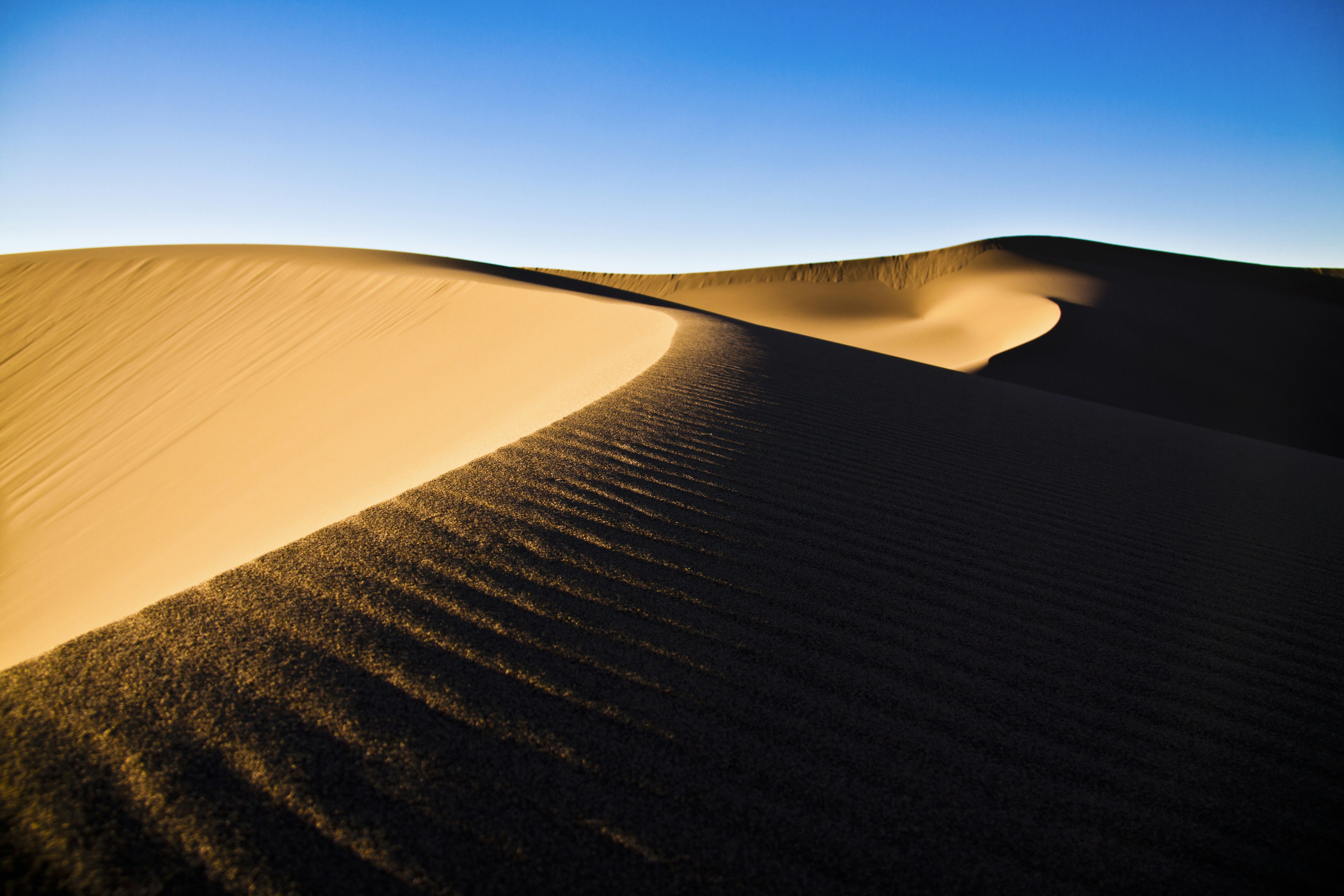 Photo by hassanabdollahi