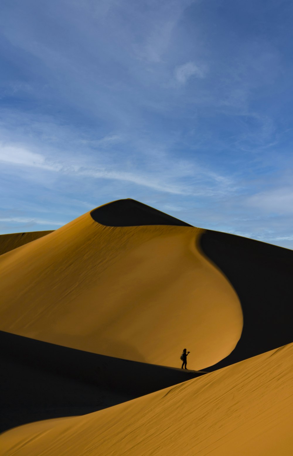 a person standing in the middle of a desert