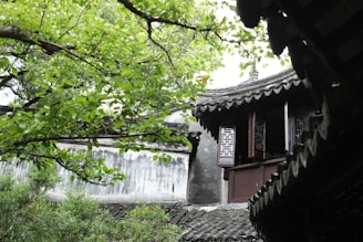 Traditional Chinese architecture features intricately designed wooden windows with decorative latticework. The foreground includes lush green foliage, and the curved, tiled roof adds to the sense of craftsmanship and history.
