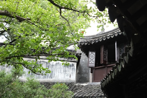 Traditional Chinese architecture features intricately designed wooden windows with decorative latticework. The foreground includes lush green foliage, and the curved, tiled roof adds to the sense of craftsmanship and history.