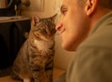 A person leans close to a tabby cat, both appearing to engage in a gentle and affectionate interaction. The setting is indoors, likely a kitchen or similar space, with a countertop and a kettle visible in the background.