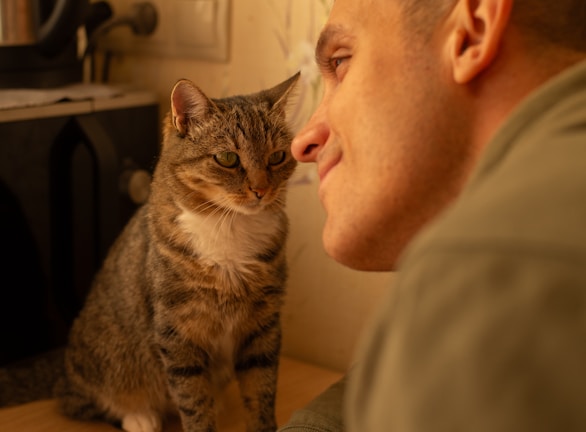 A person leans close to a tabby cat, both appearing to engage in a gentle and affectionate interaction. The setting is indoors, likely a kitchen or similar space, with a countertop and a kettle visible in the background.